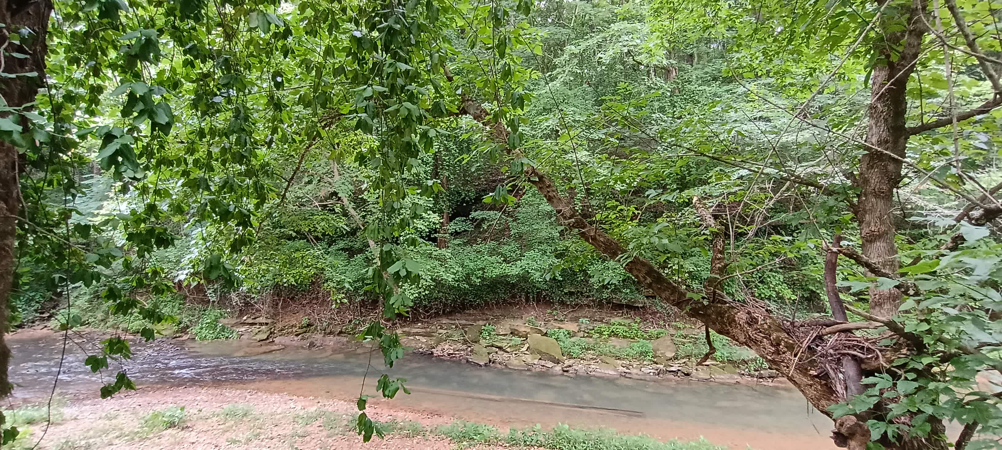 Twisted River