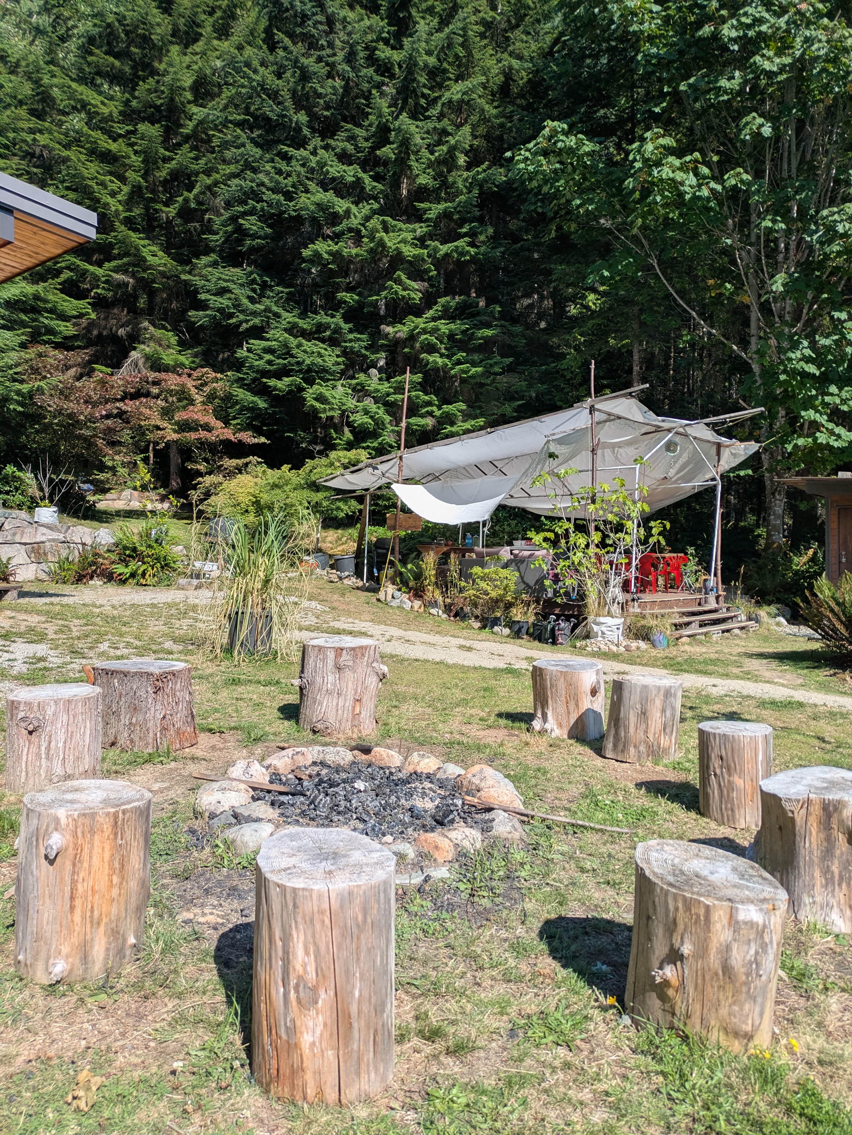 Forest Sanctuary