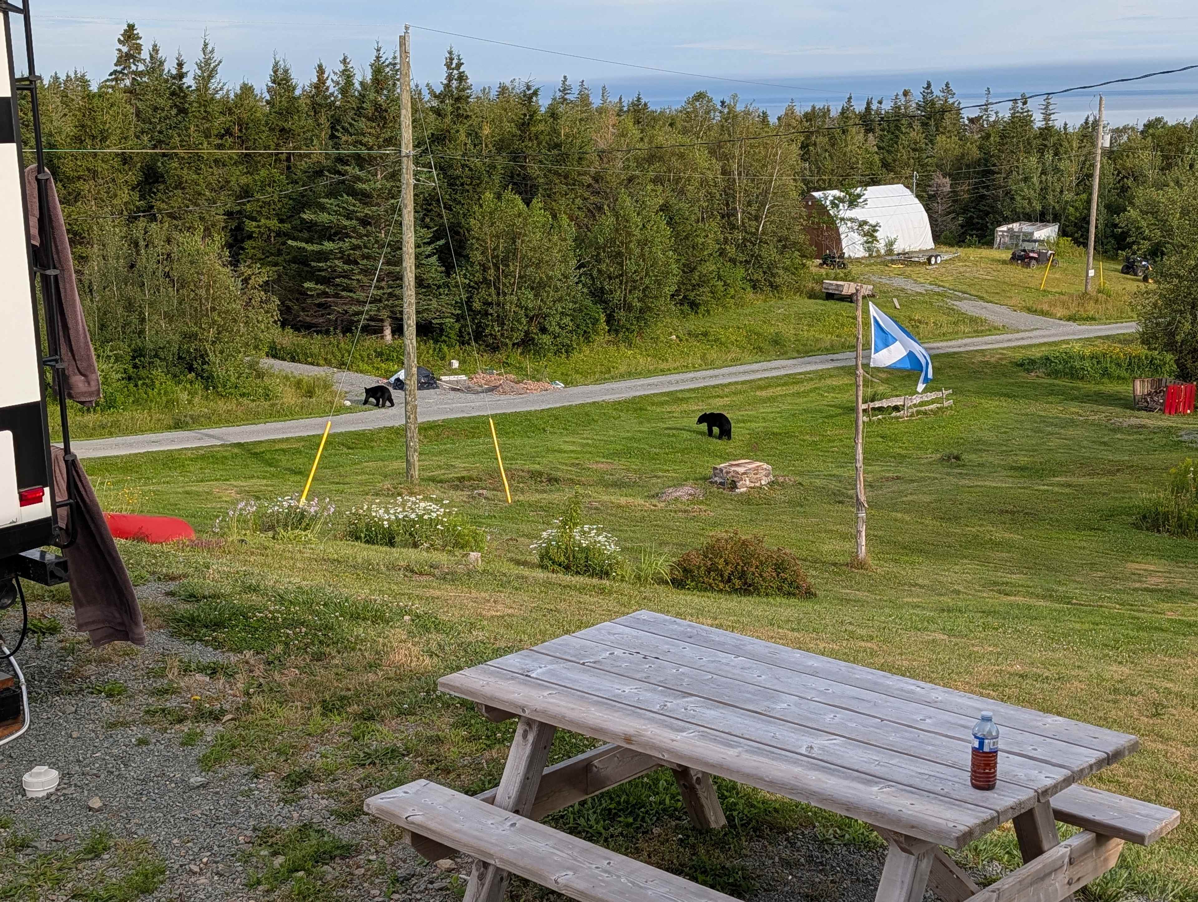 Picture of the site