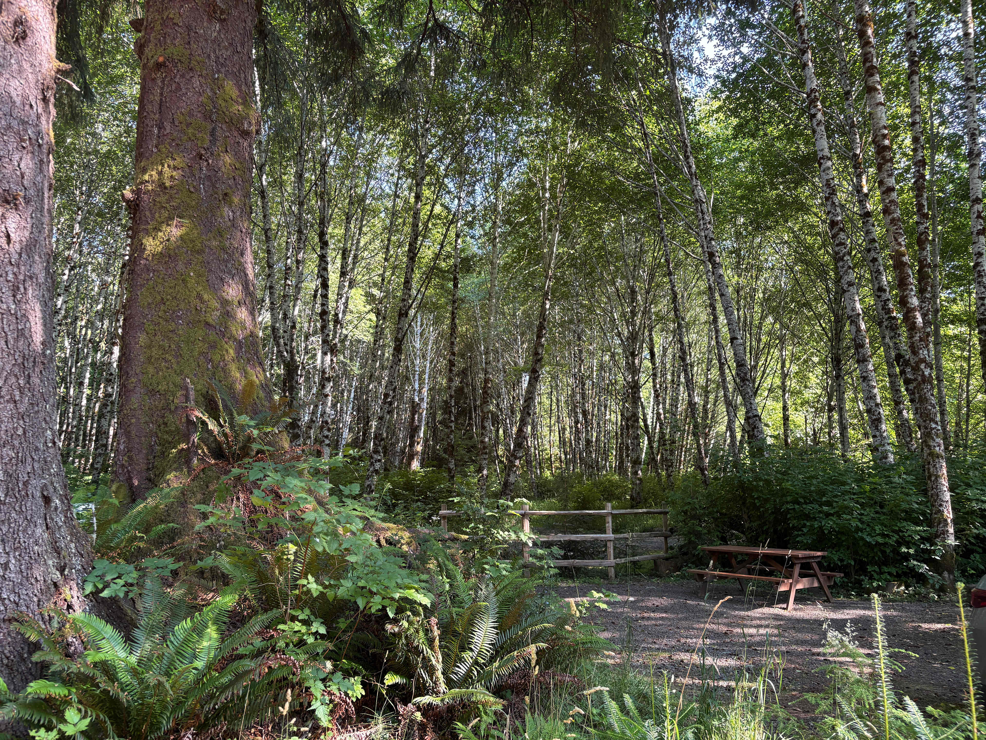 Shangri La Push