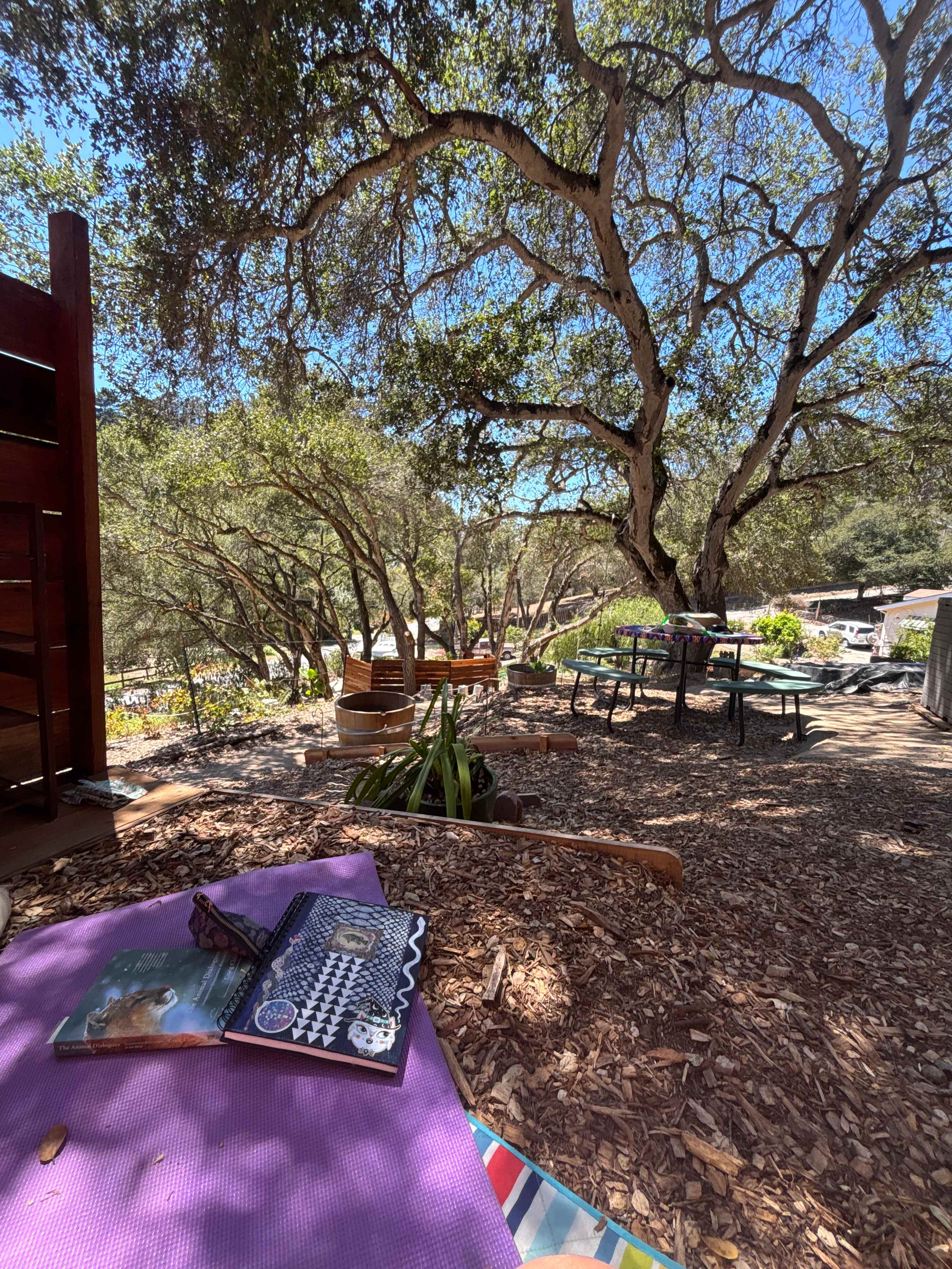 Vega Vortex-Gaia Health Retreat