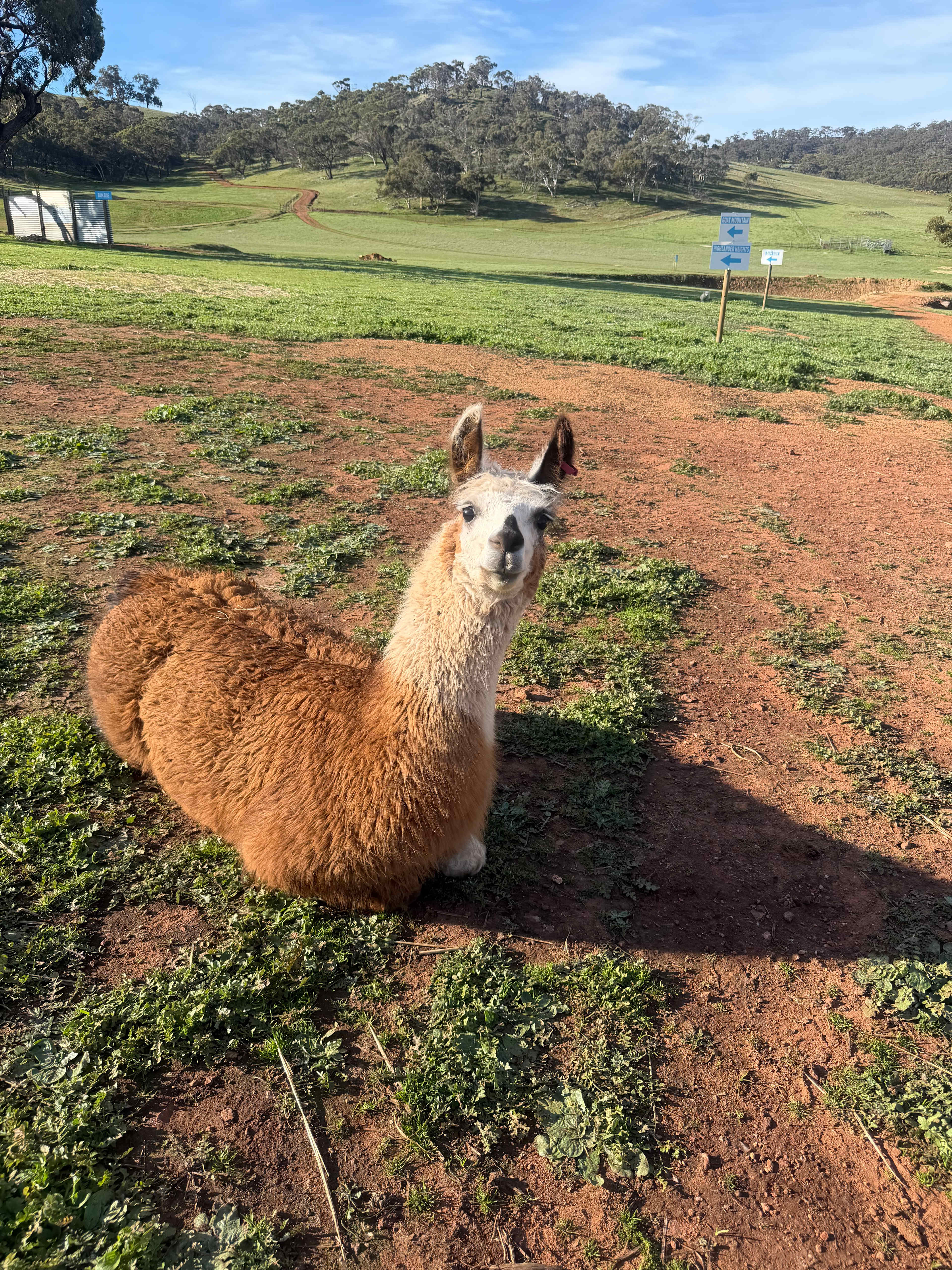 Sandalwood Downs  Farm Stay Toodyay
