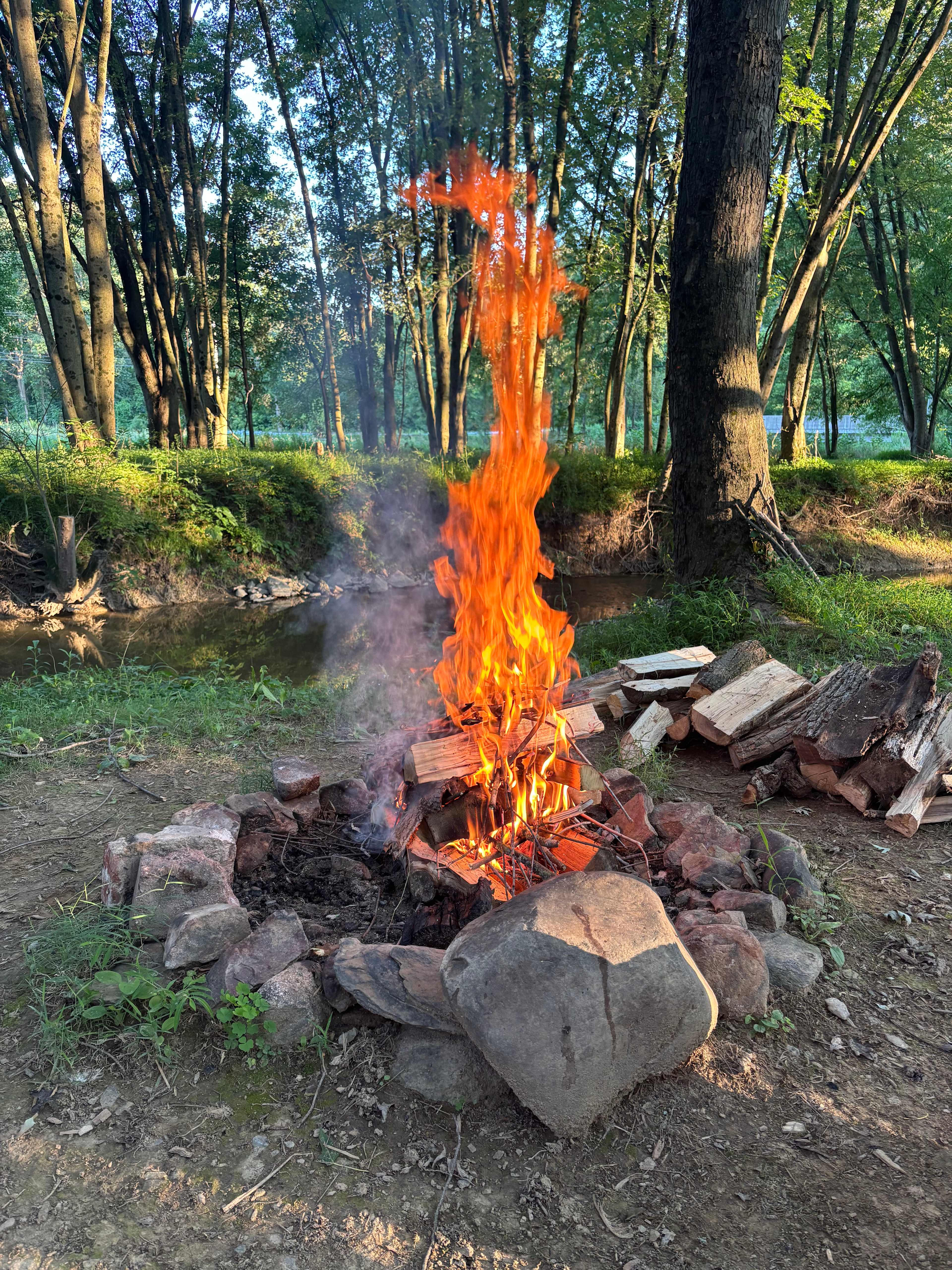Fire pit 