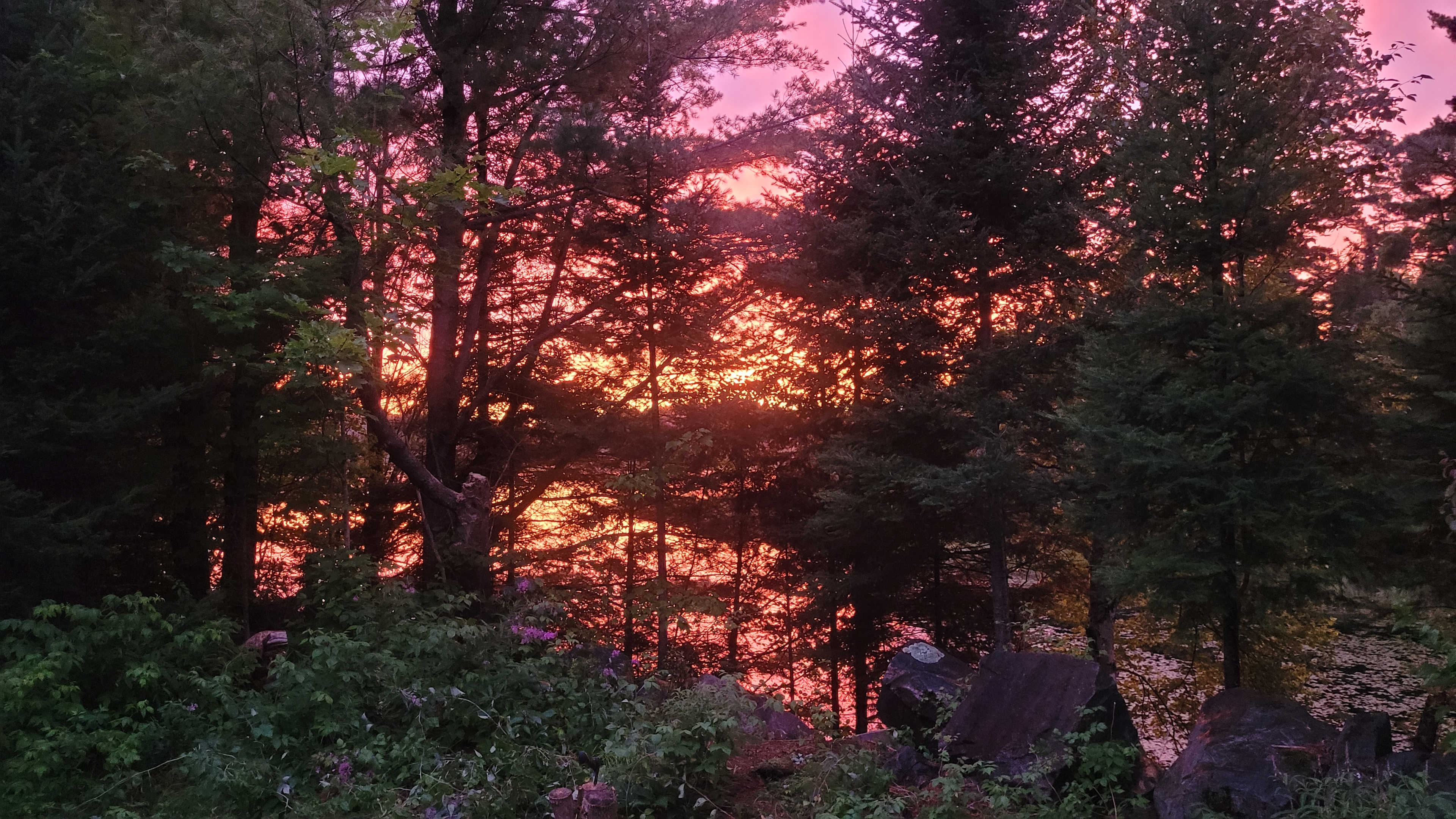 CREEKSIDE Camp