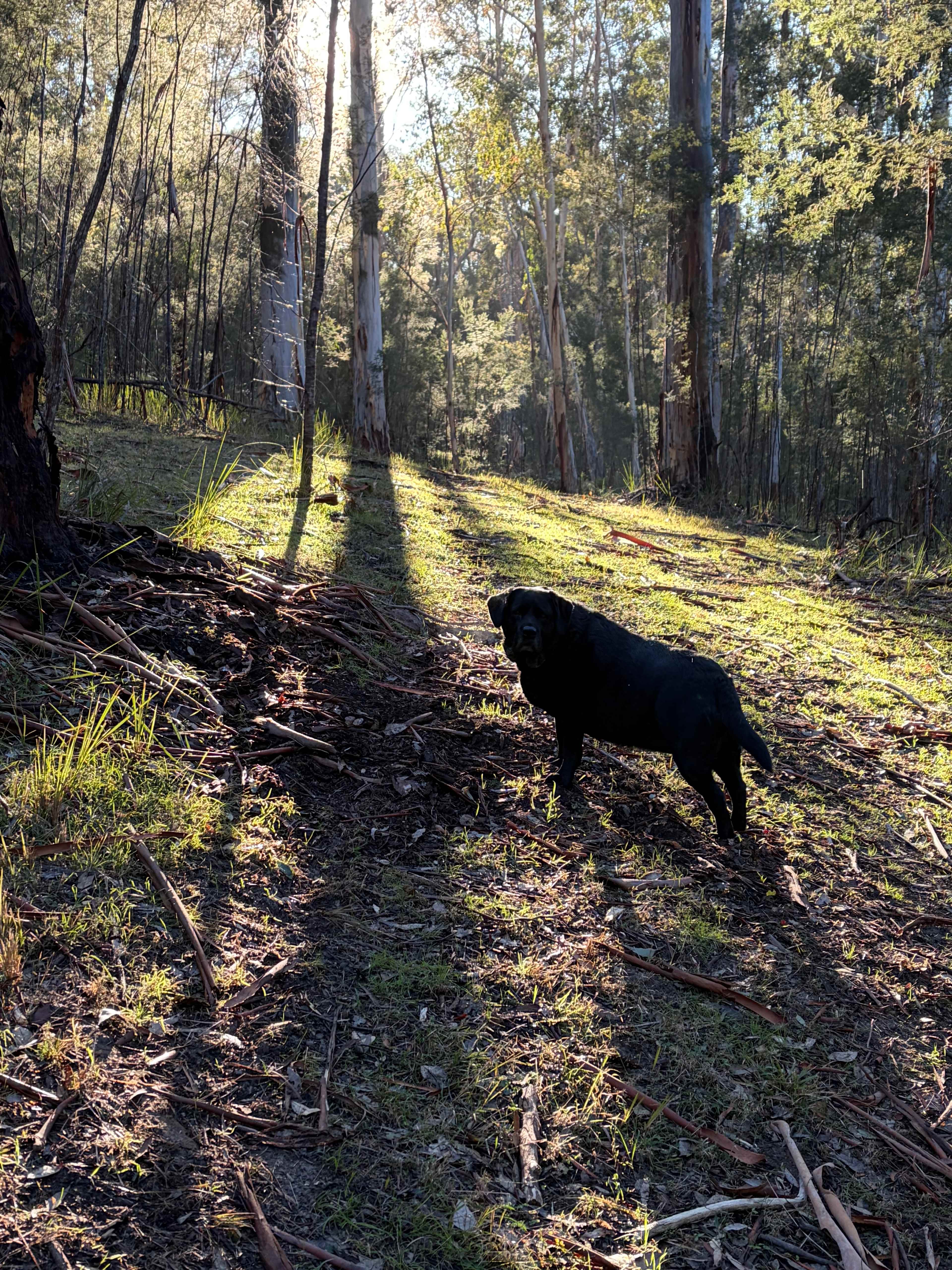 Stickybush Arm Wildlife Sanctuary