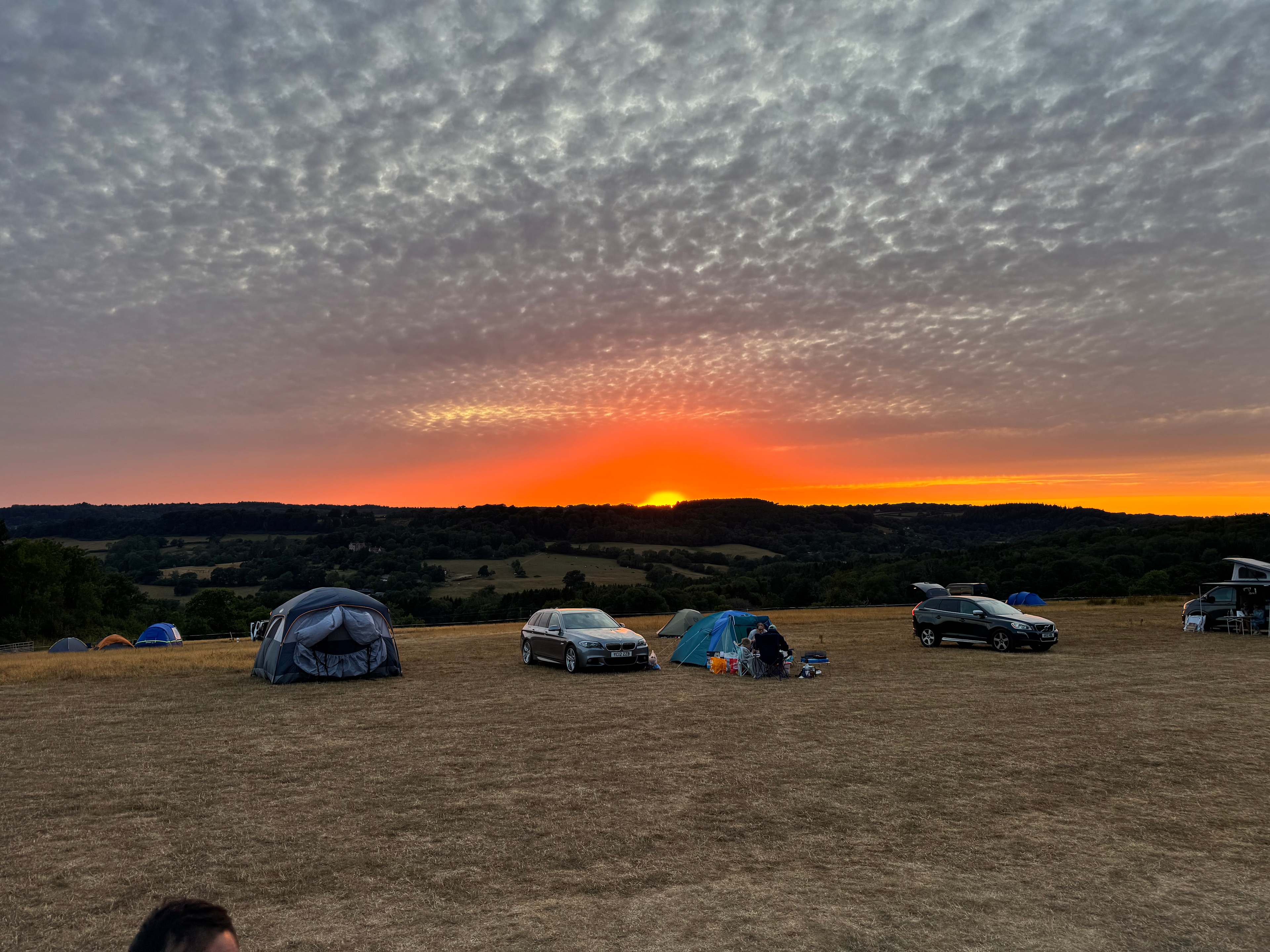Berries Farm Camping