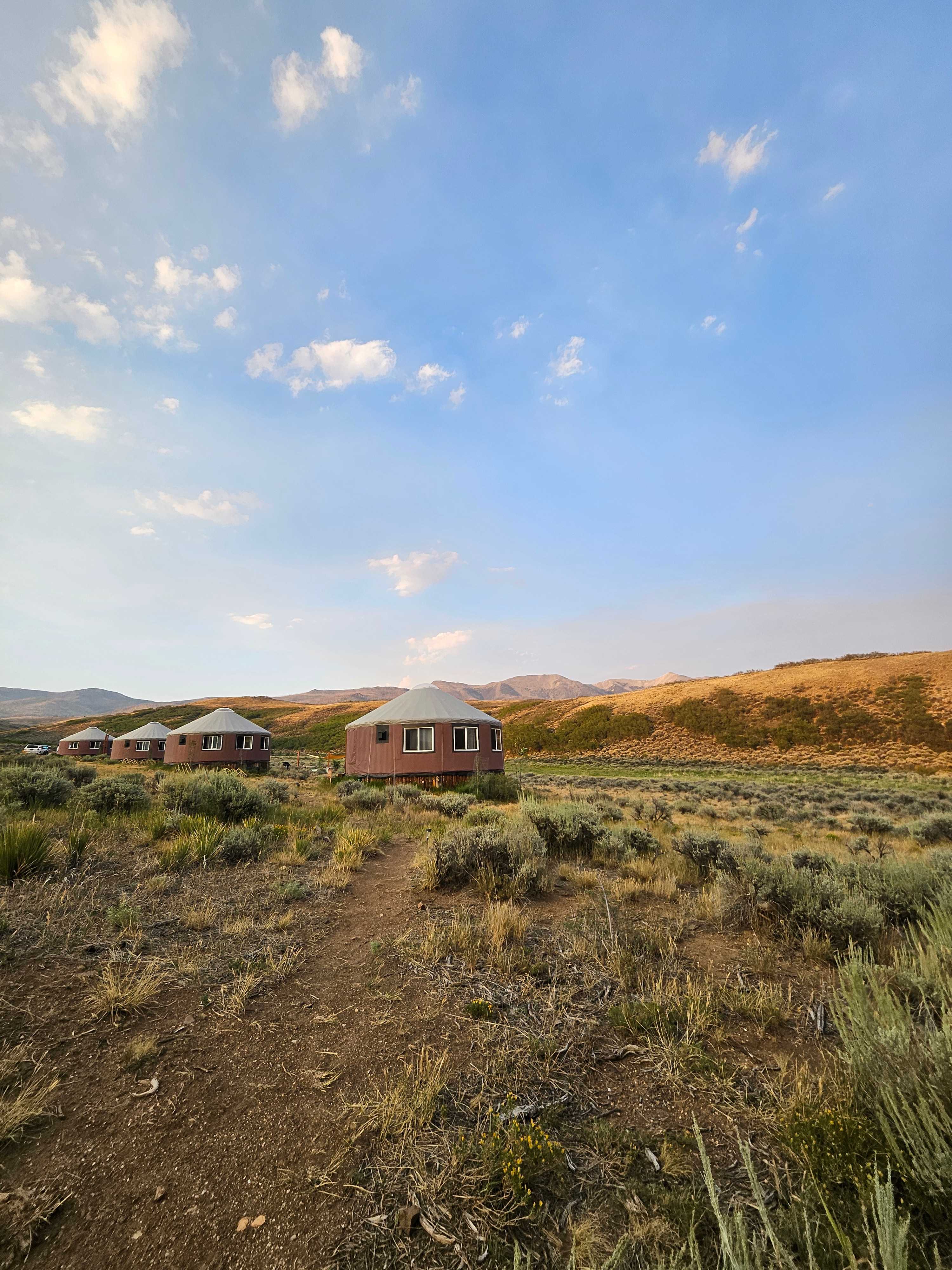 Lone Tree Yurt at Poncha Pass