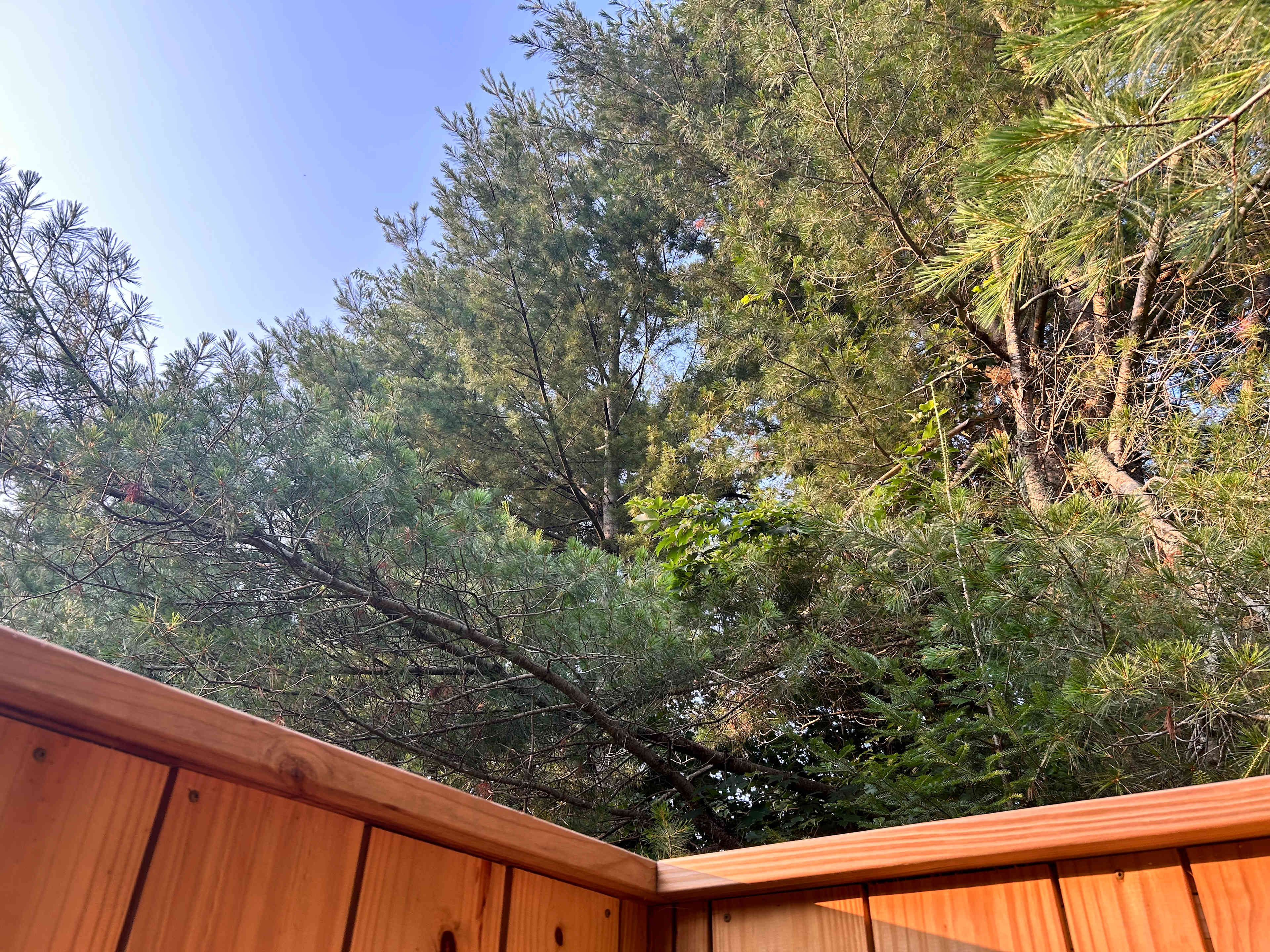 View from shower
