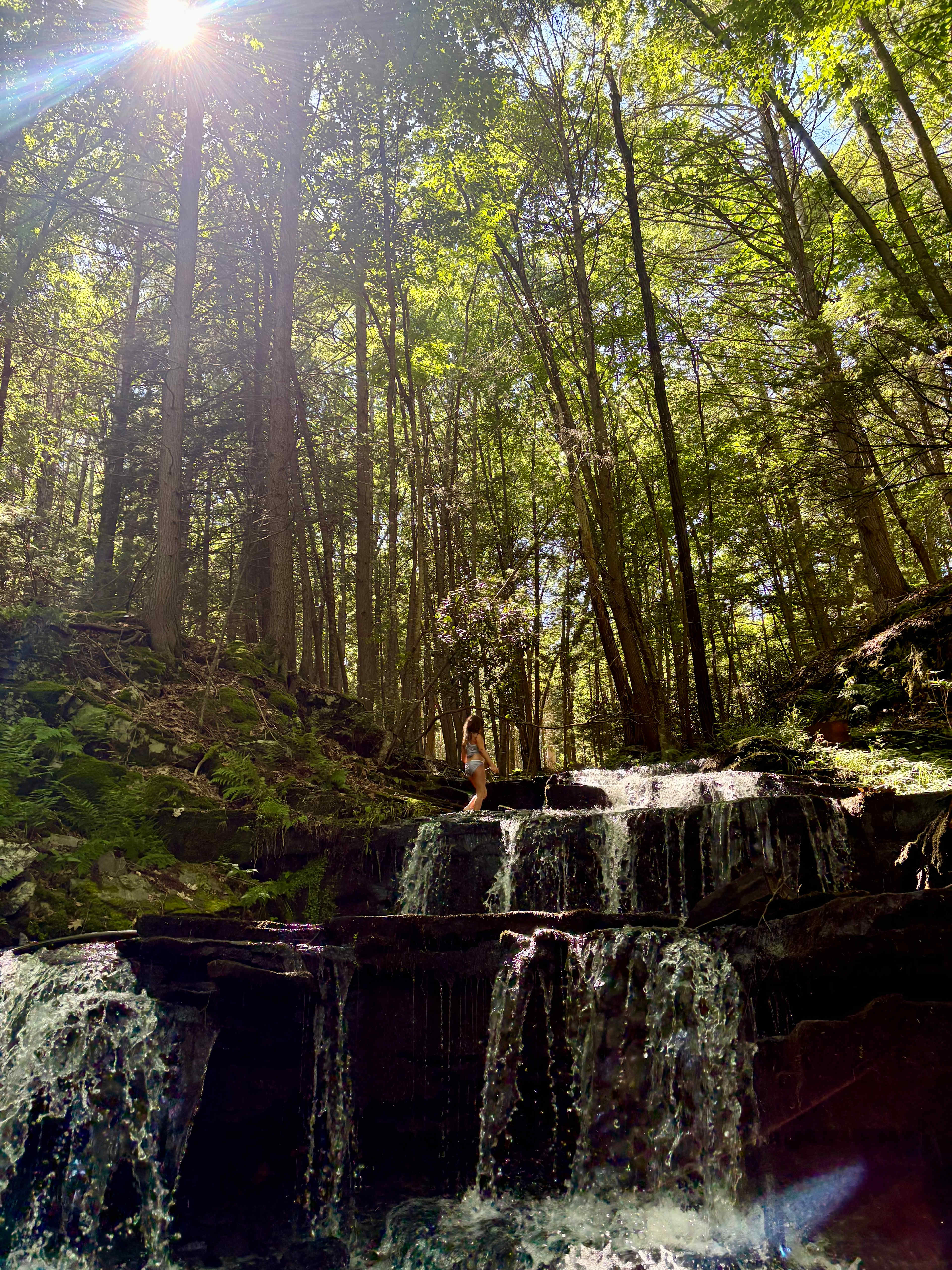 Waterfall Cabin