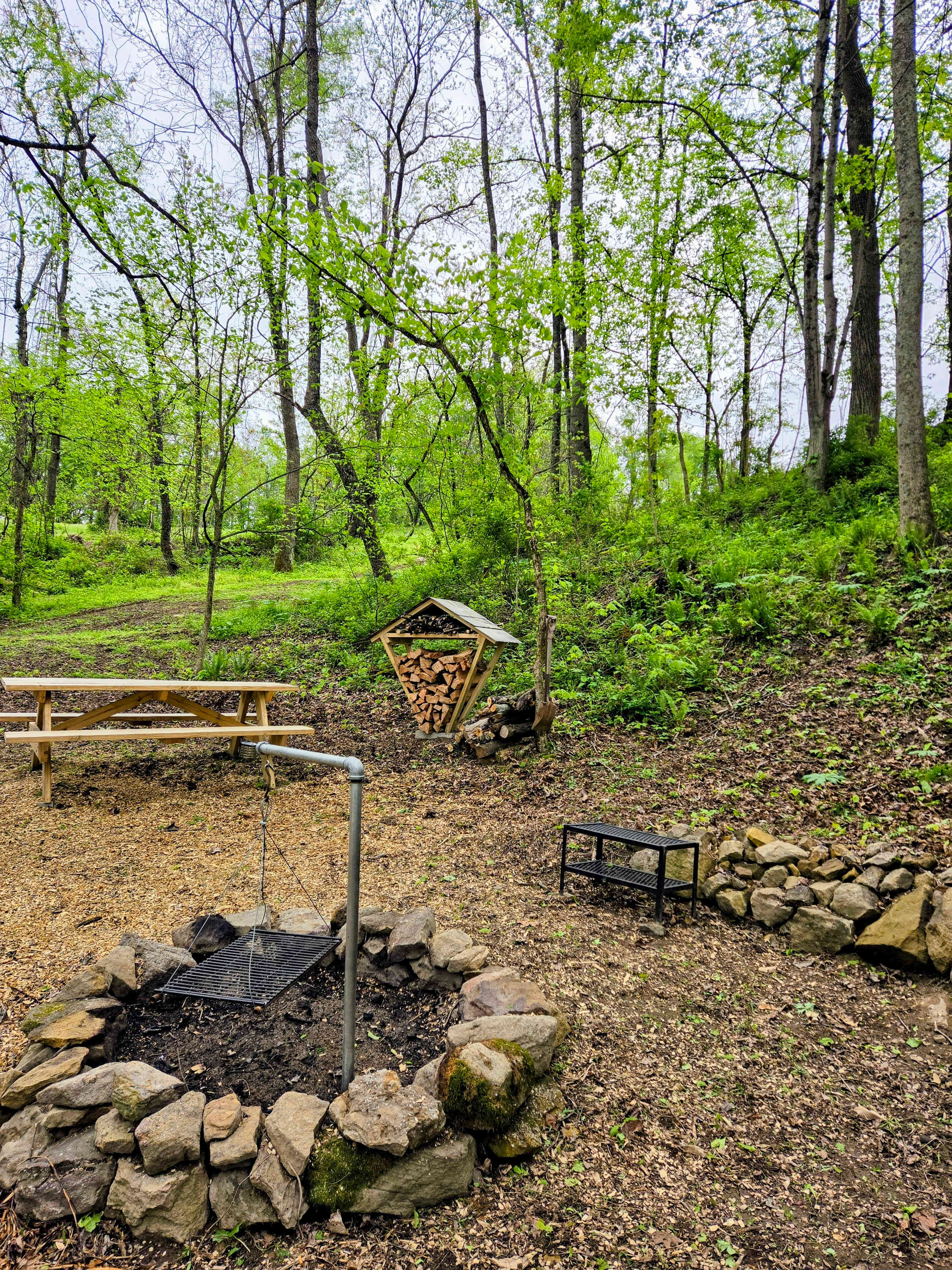 Picture of the site