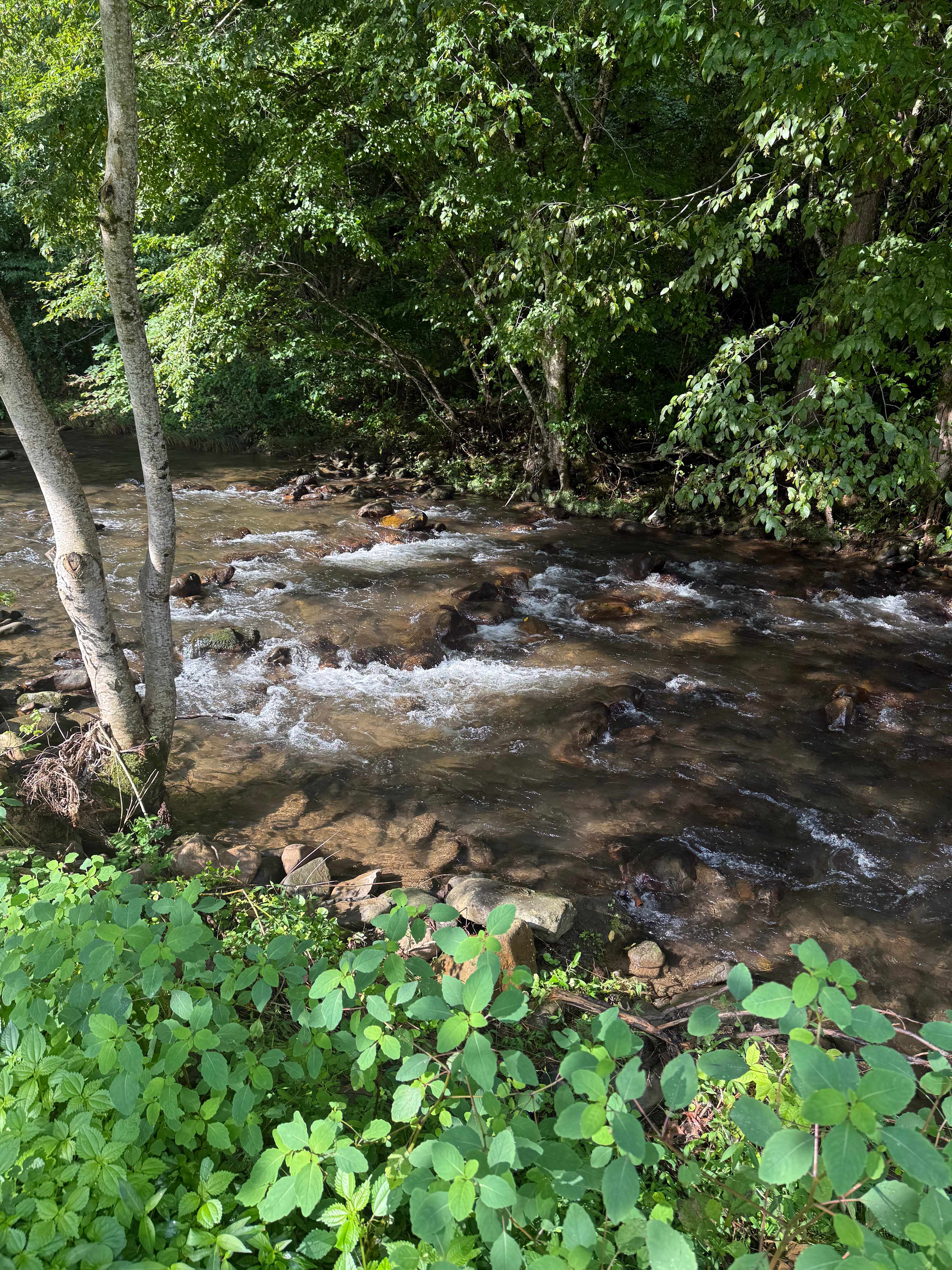 Creekside Stayz Campground