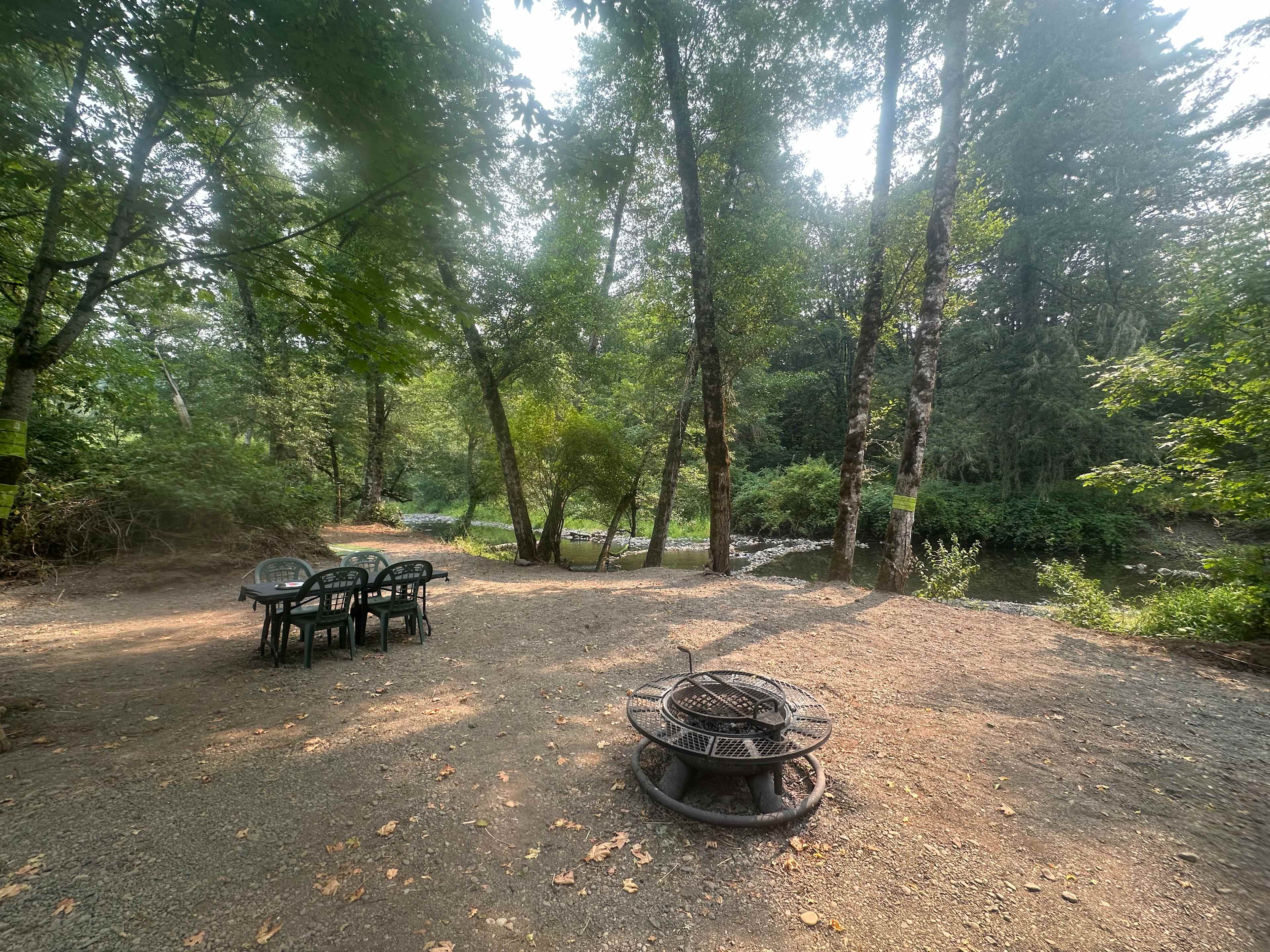 Paradise on Mill Creek