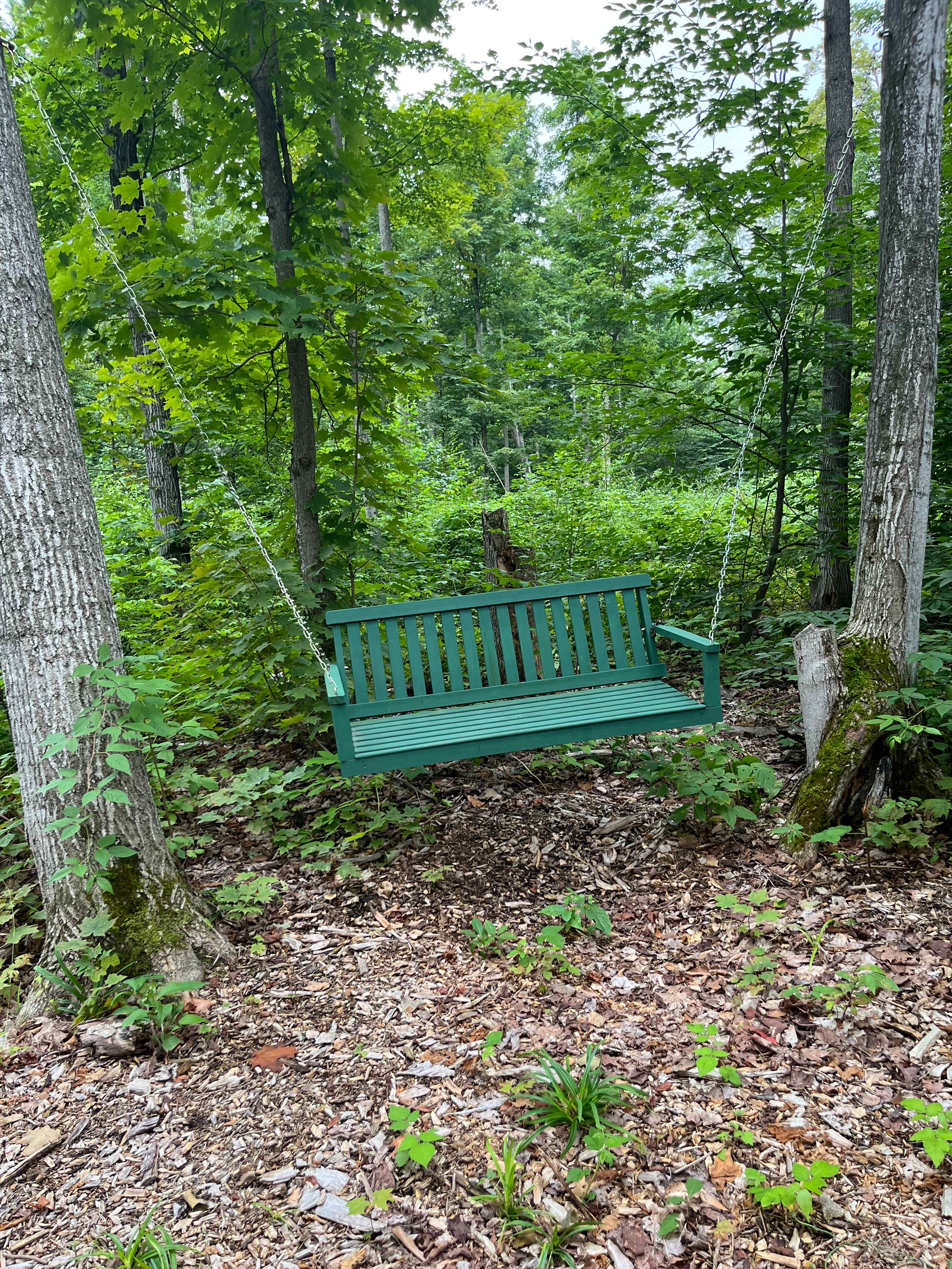 Mr. Joe's Campground