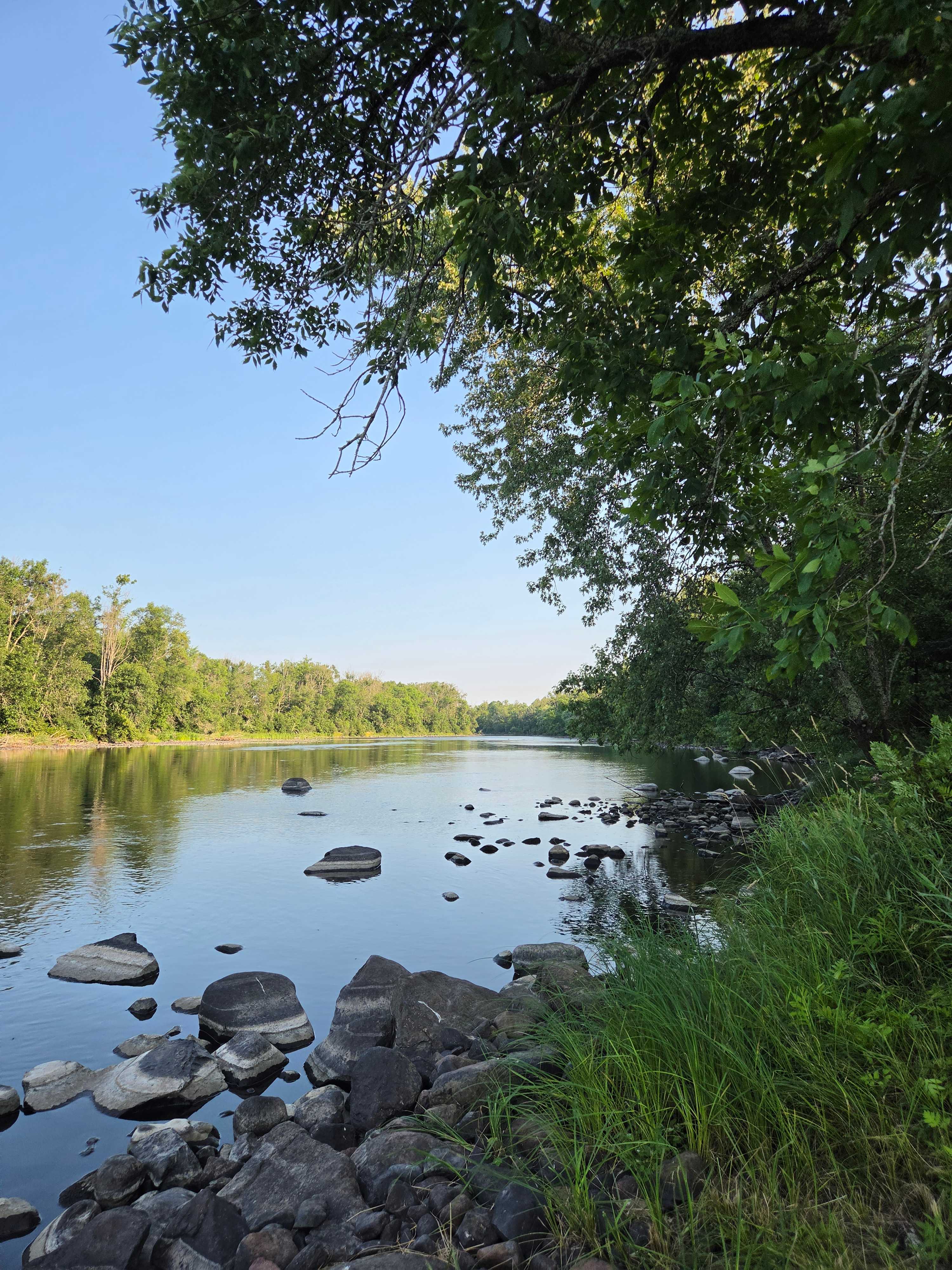 Chippewa River Forest