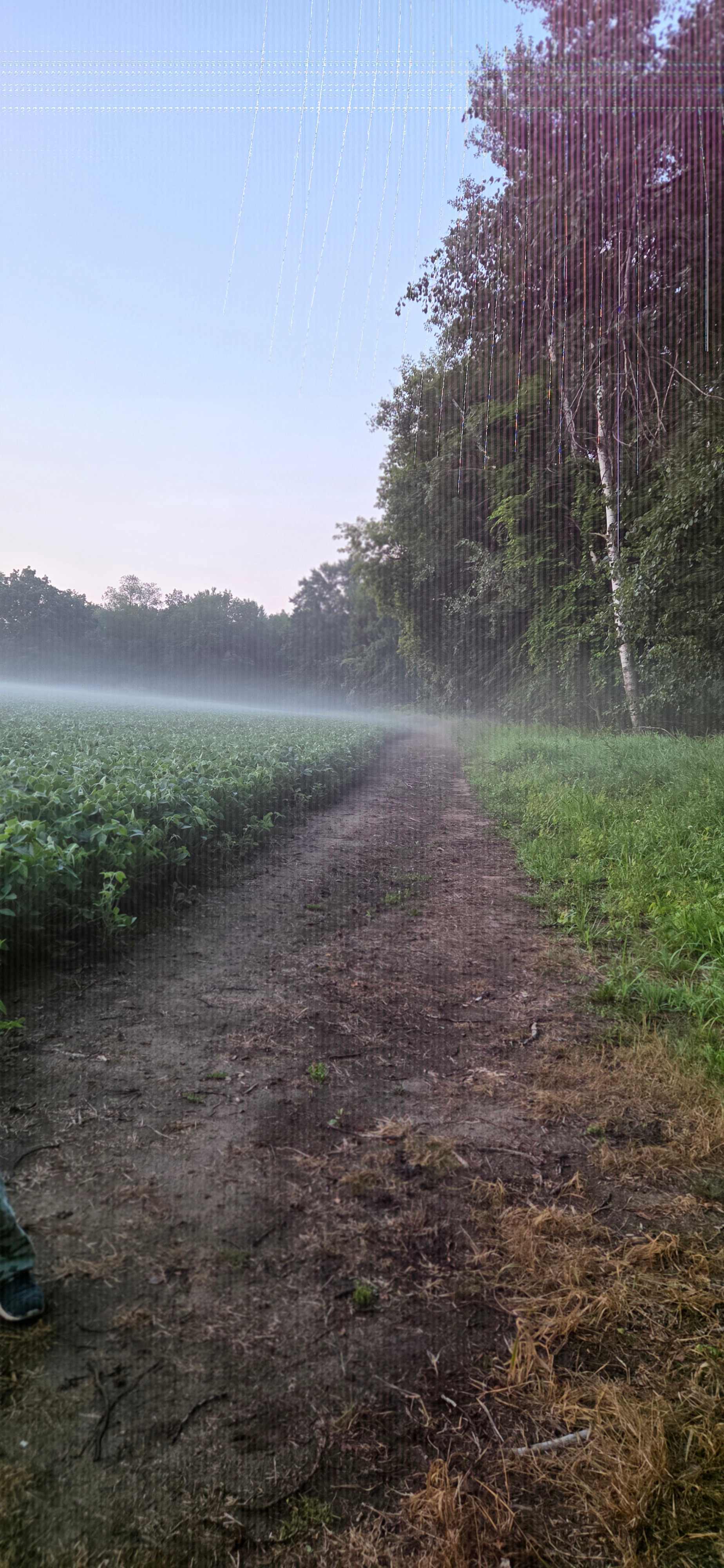 Bouressa Family Farm