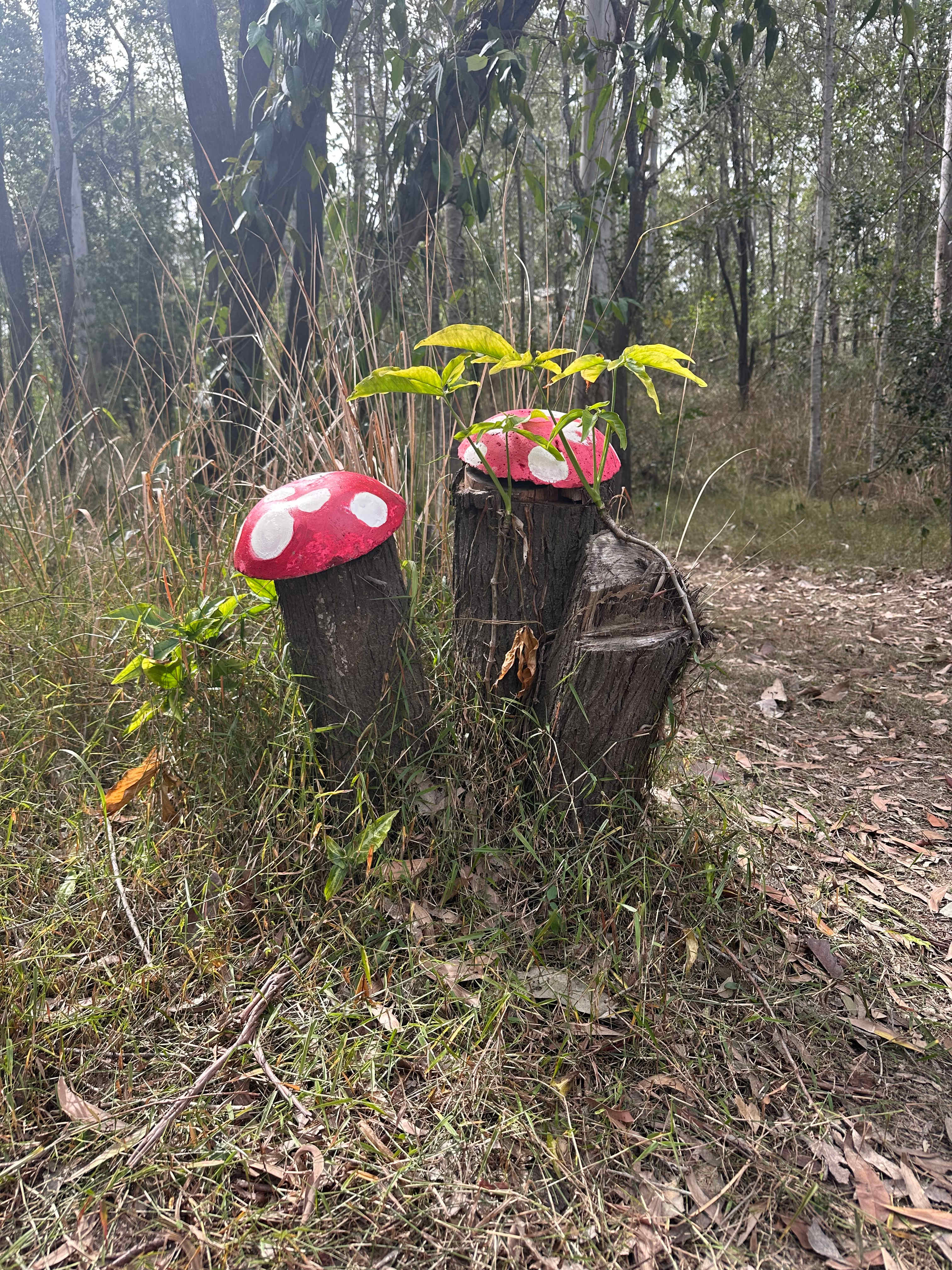 Hidden Creek Farm Qld