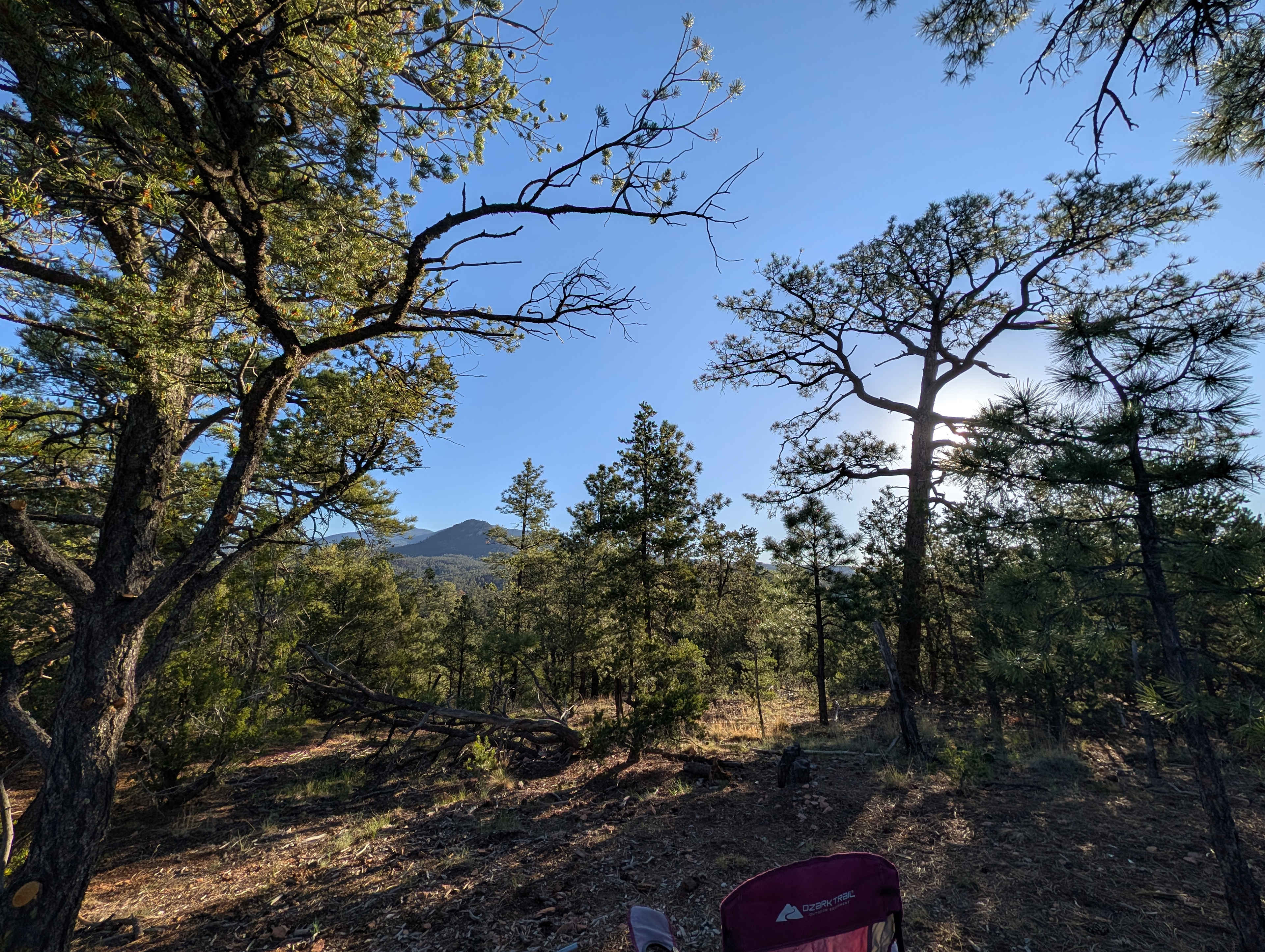 Santa Fe Treehouse Camp & Wilderness Preserve