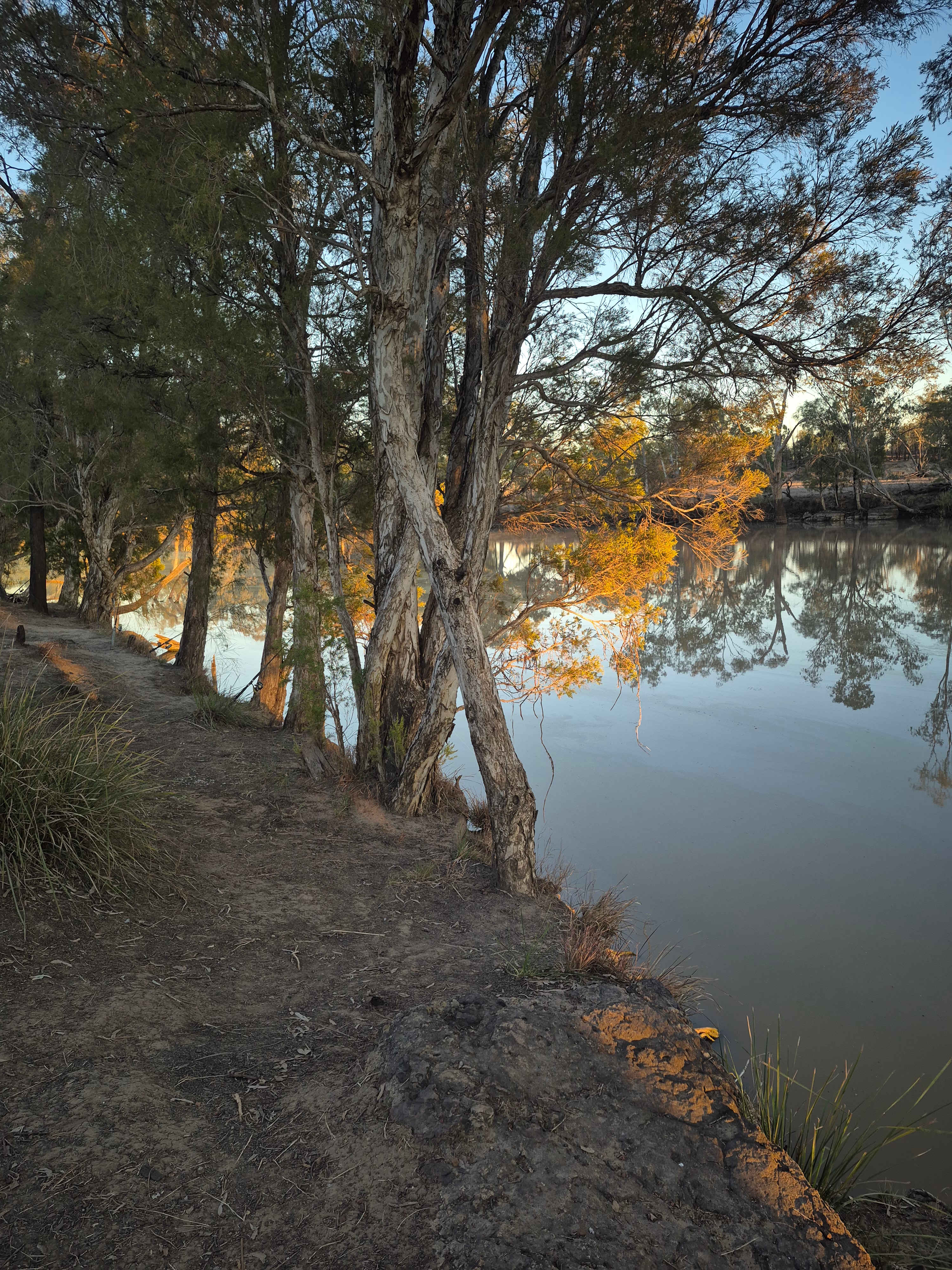 Kapunda Riverfront Tourist Park