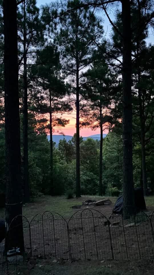 Front porch mornings. 