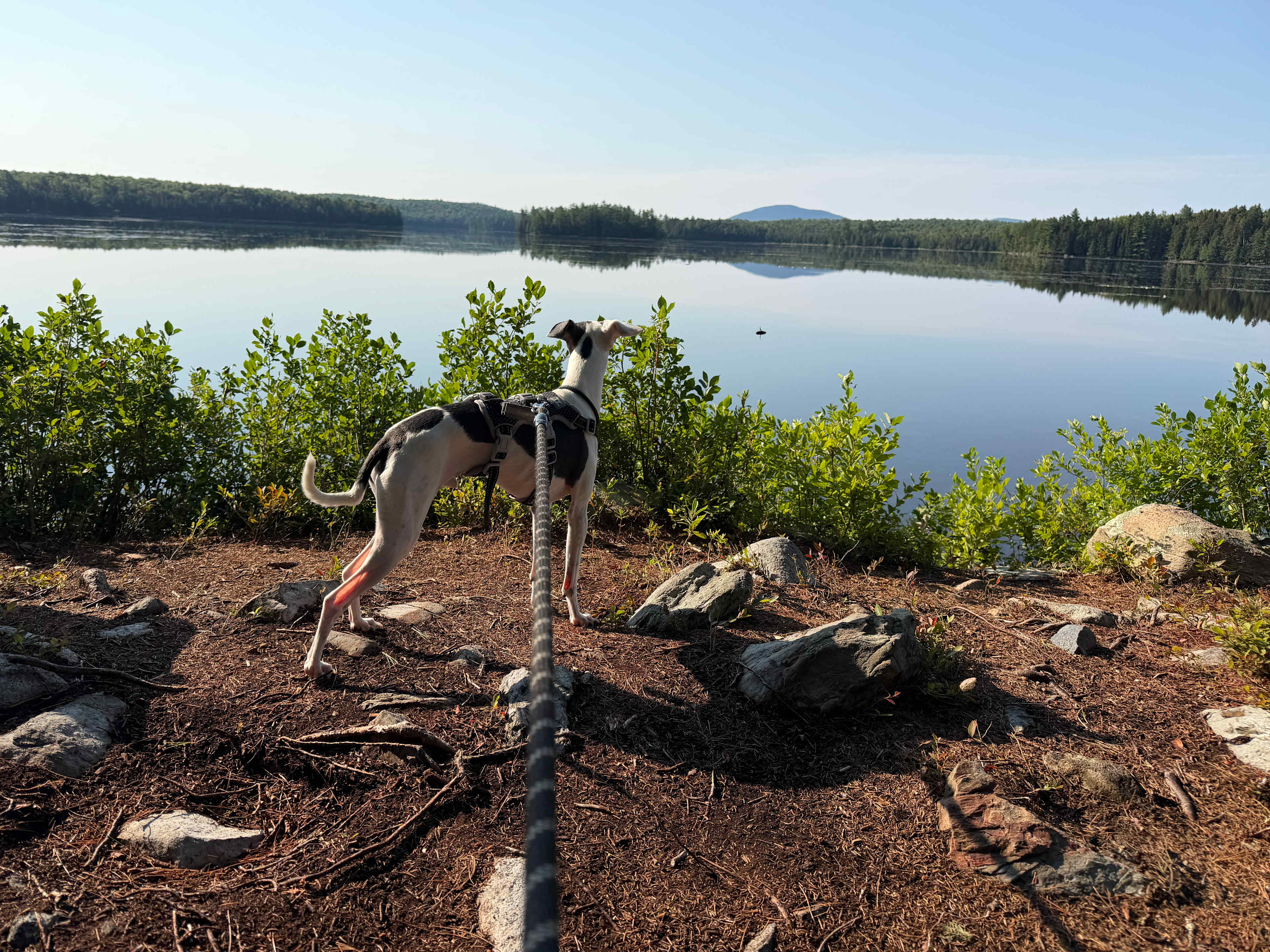Evergreen Conservation Area