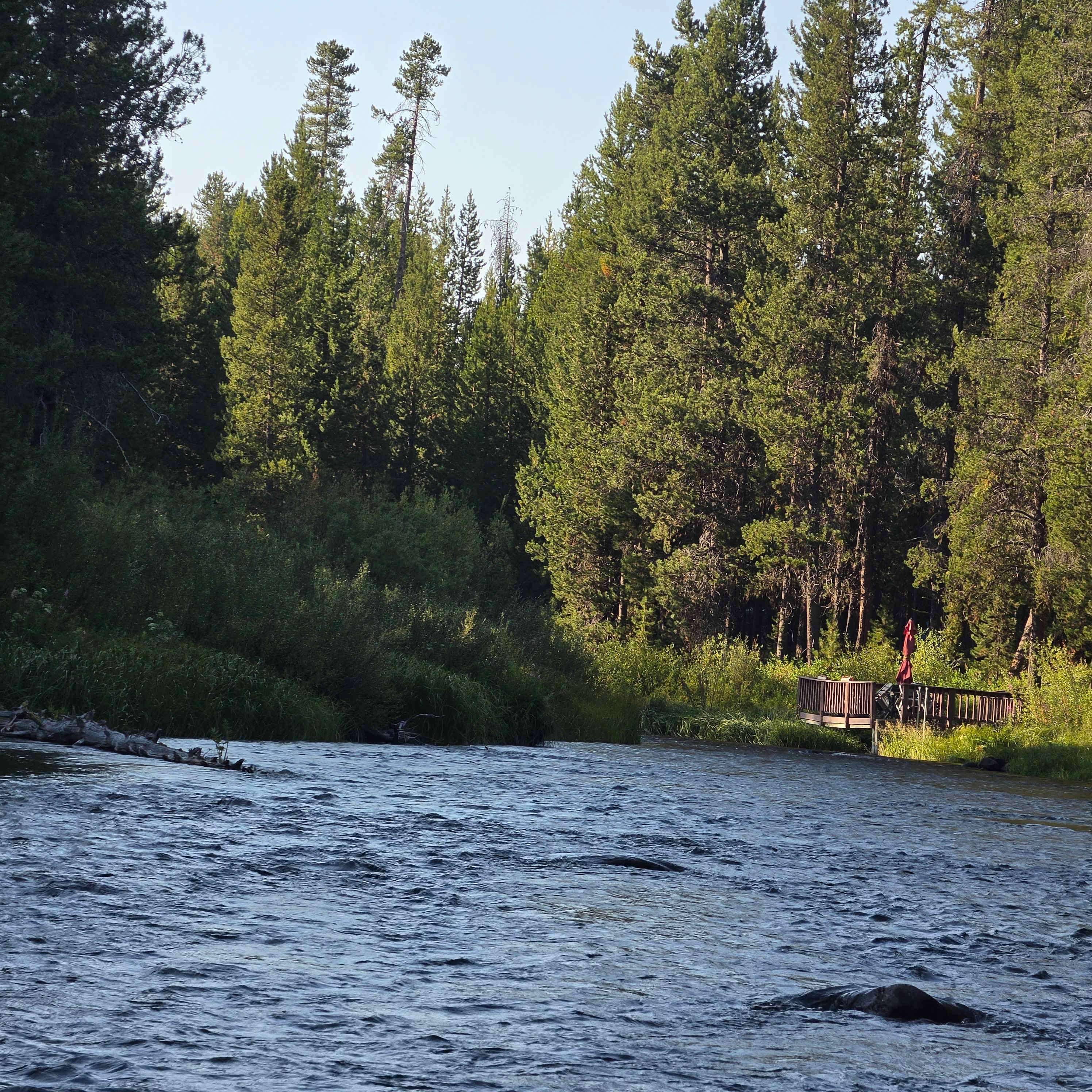 Wild River Sanctuary