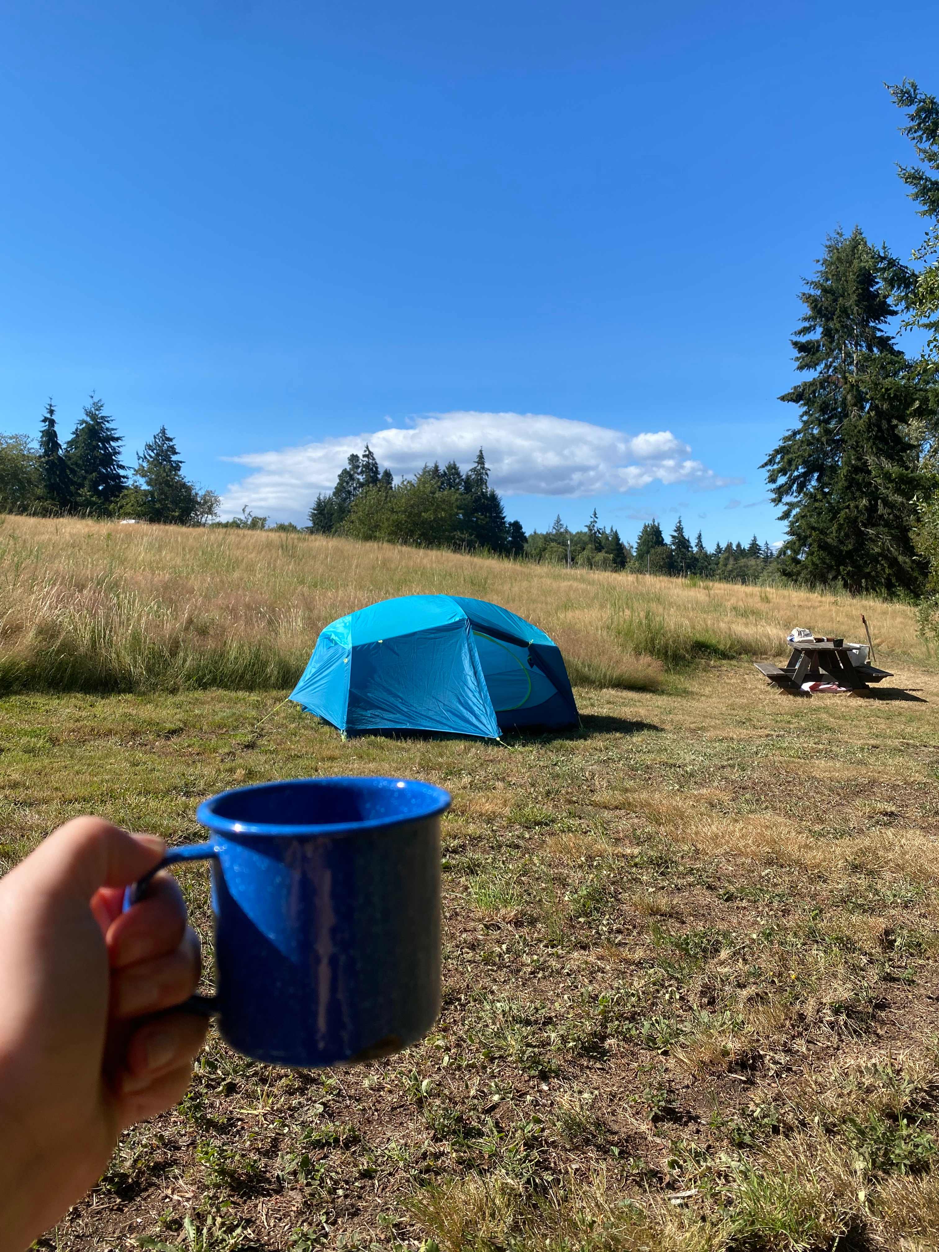 Sweet Alyssum Farm - Tent Camping