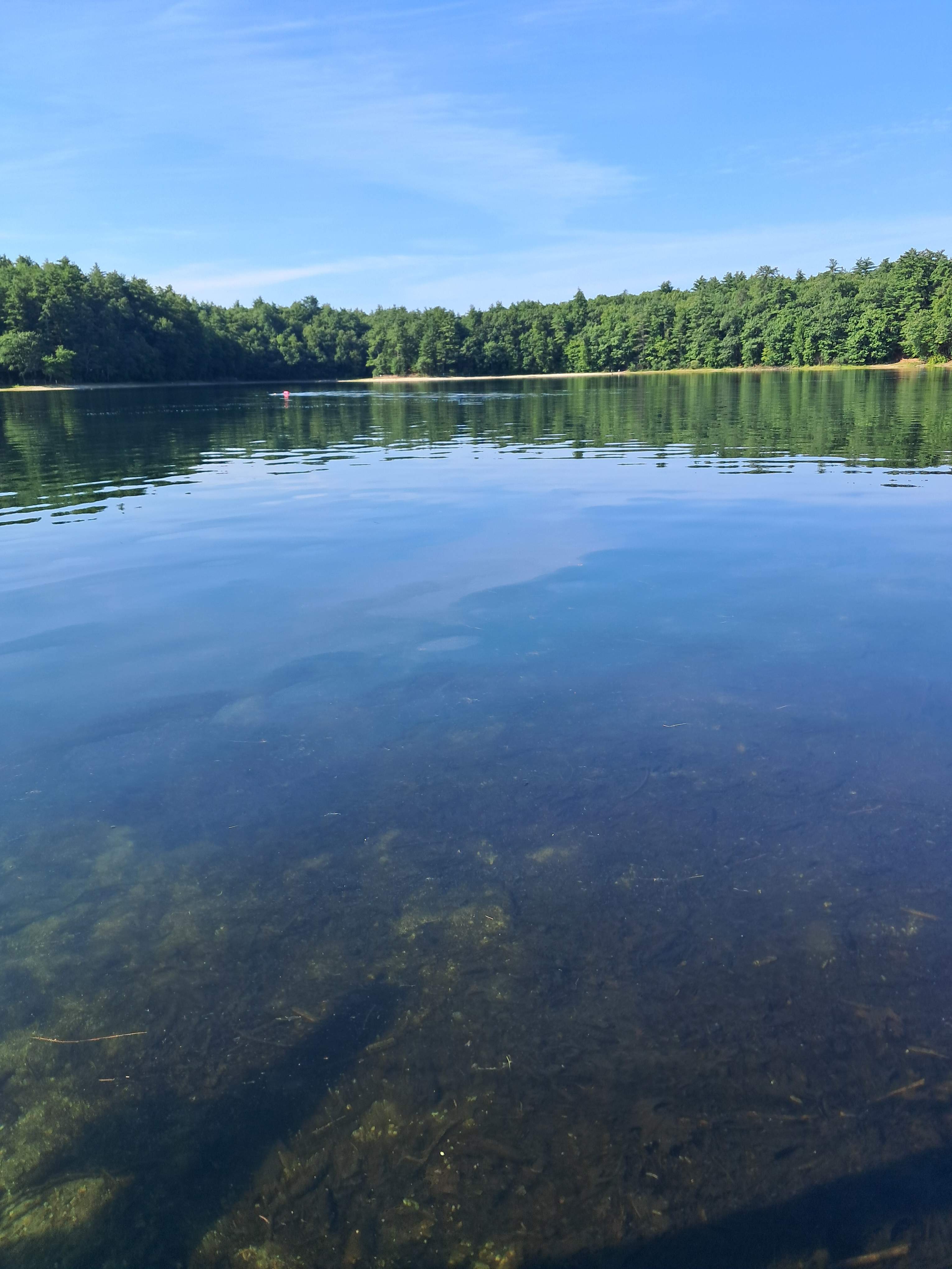 Ponderings at White Pond