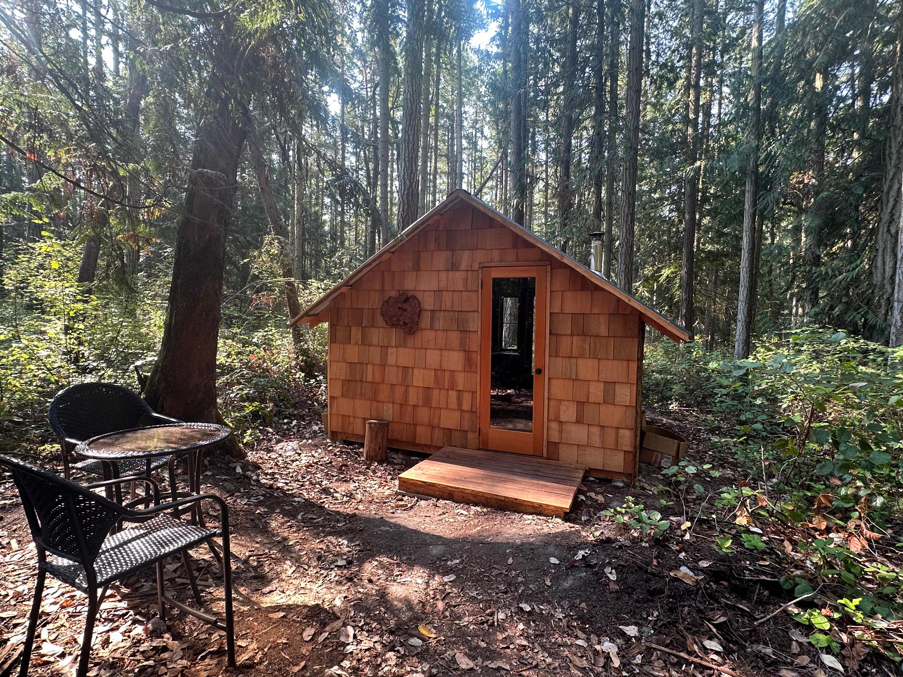 Primitive ForRest Cabin