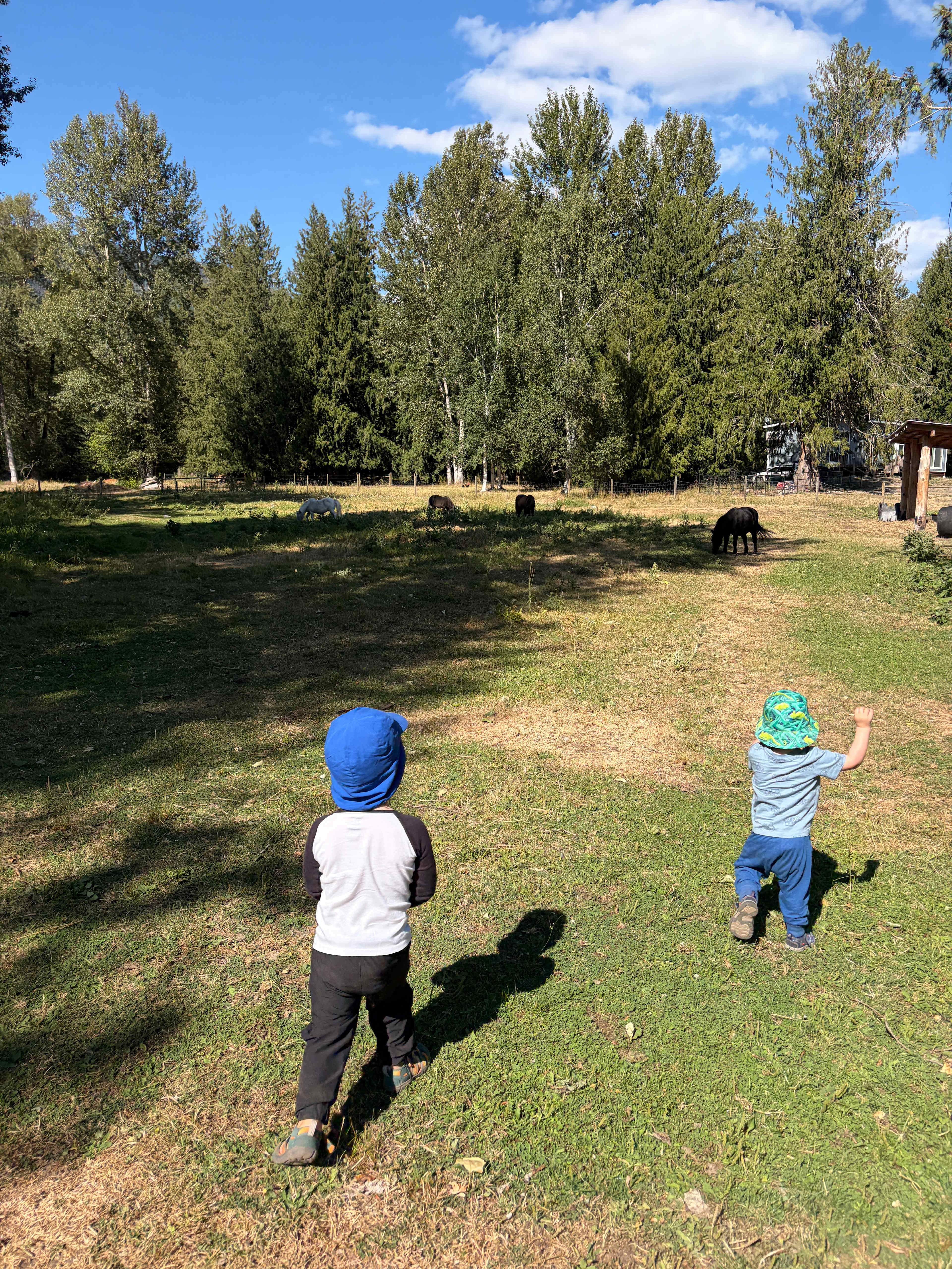 Olich Creek Farm