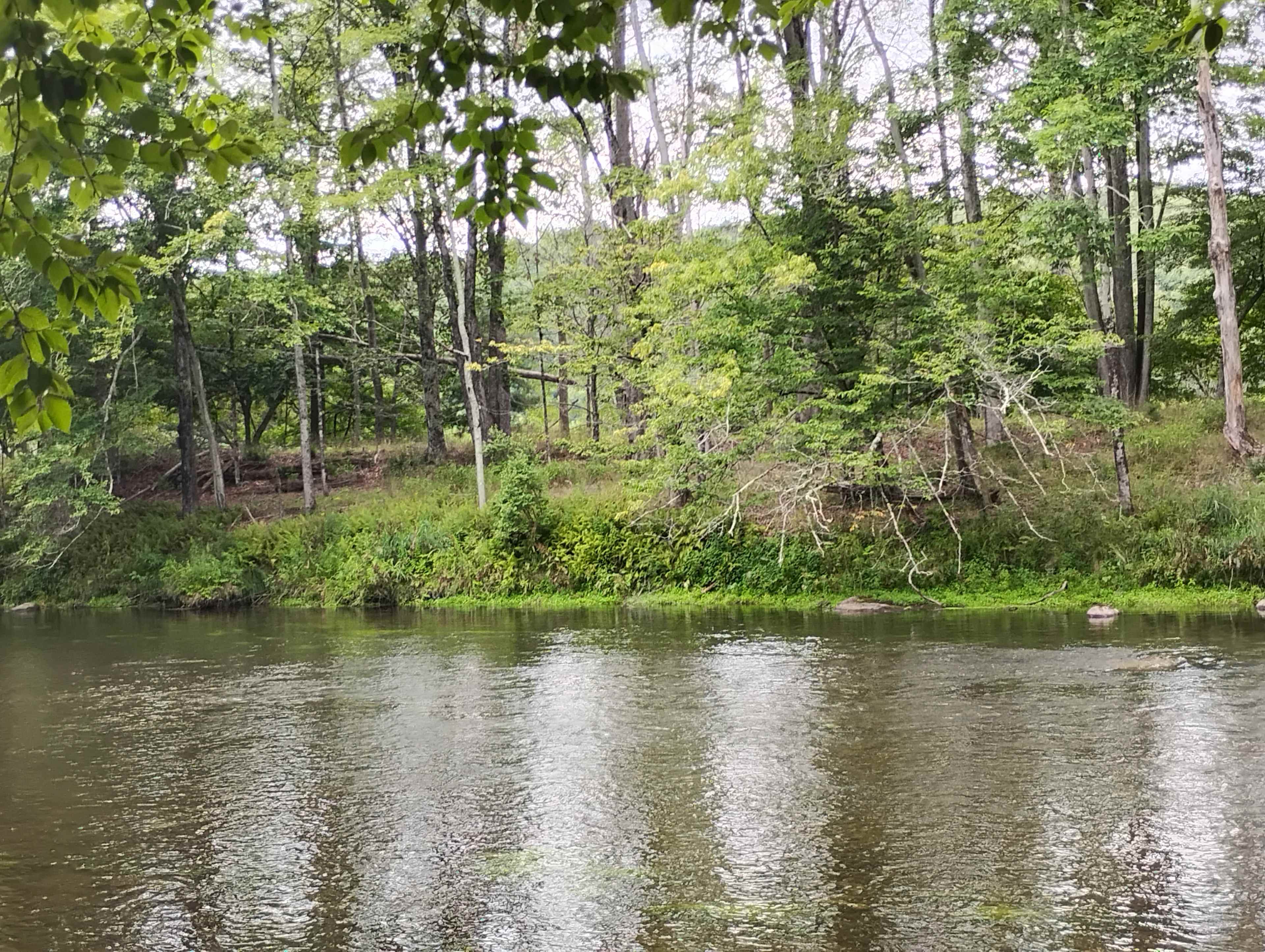 Neversink Sanctuary - Private Camp