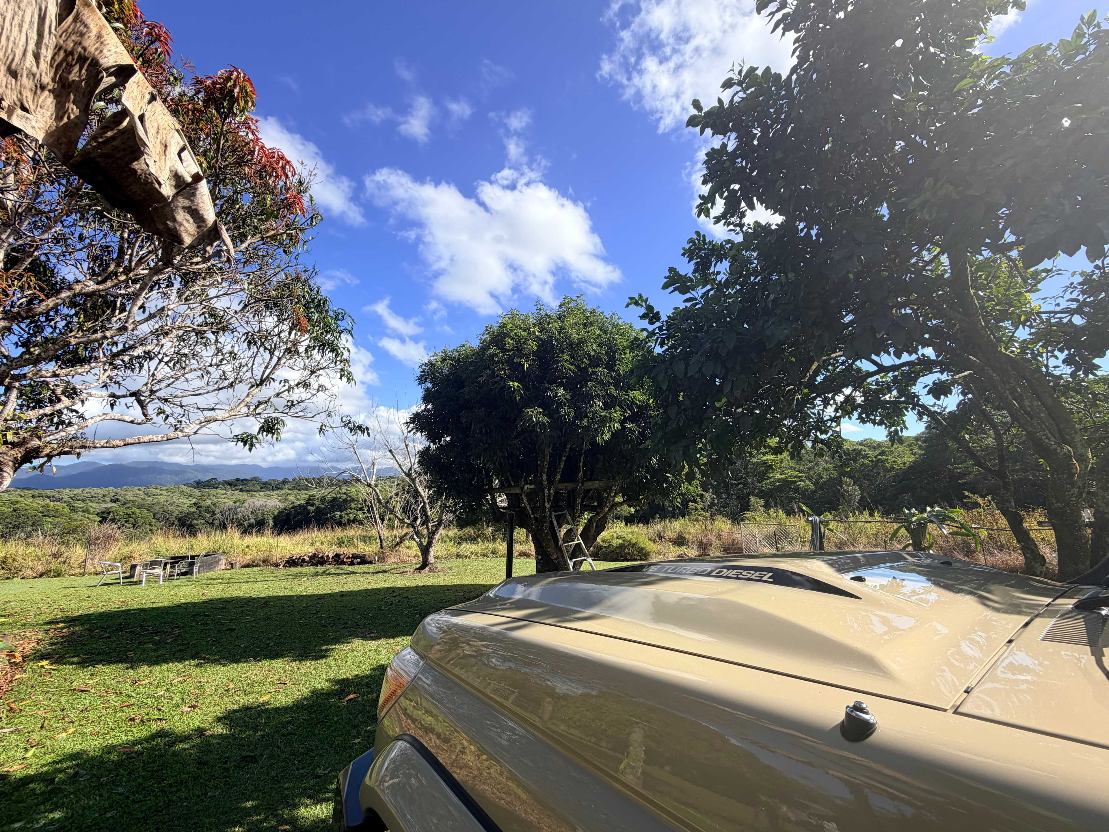 Beautiful morning view 