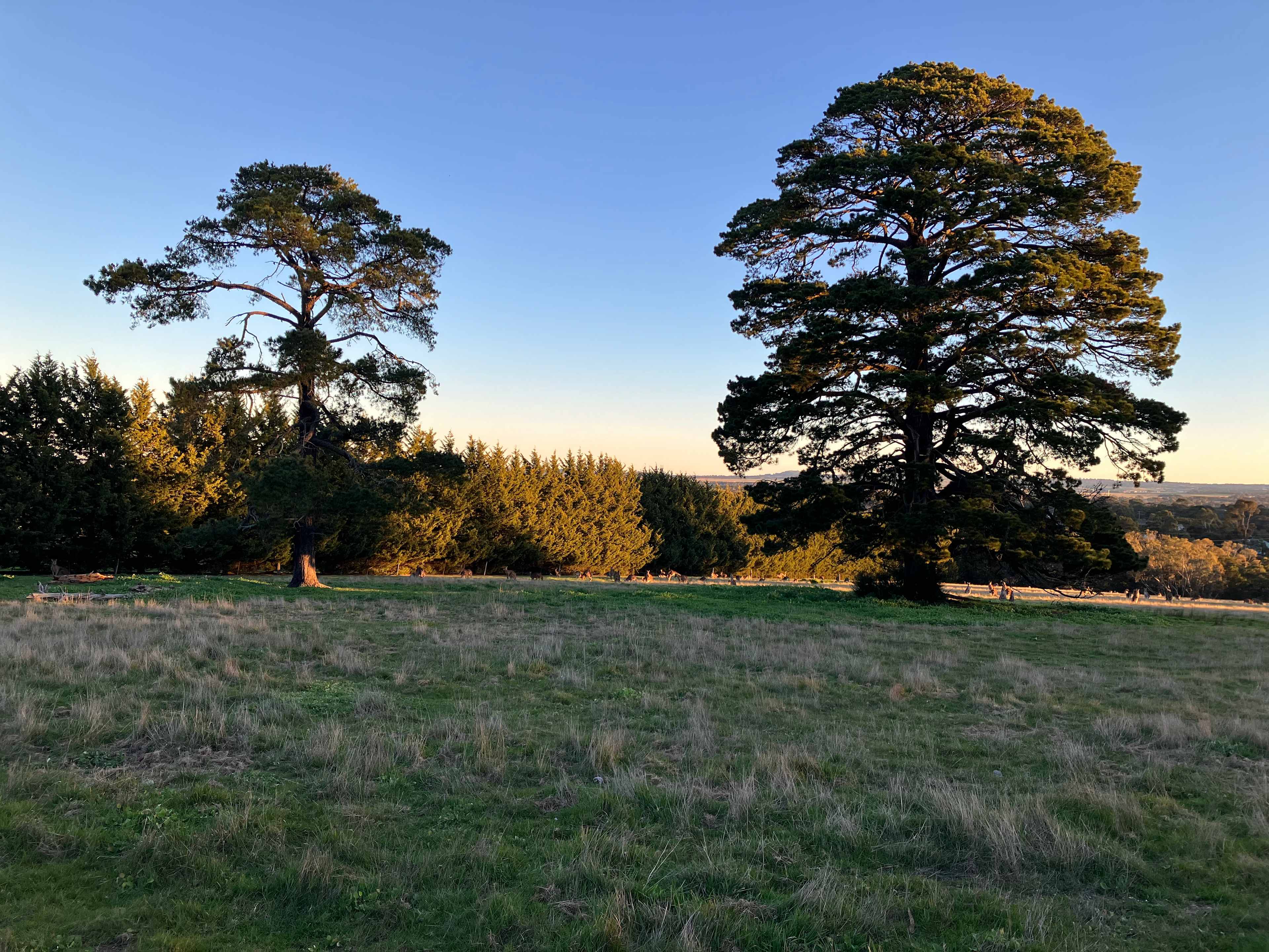 Dromkeen Macdeon Ranges