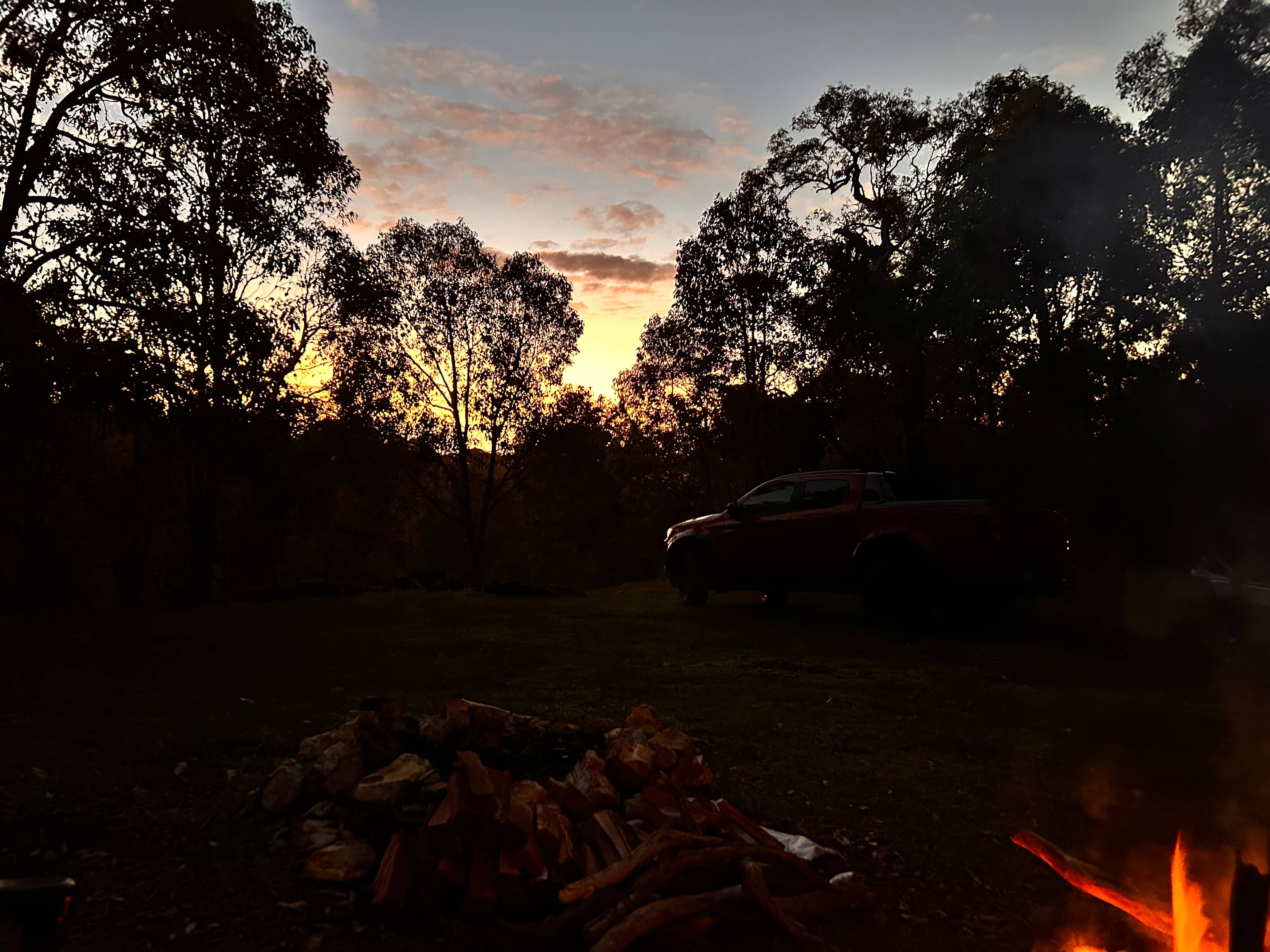 100-Acre Woods
