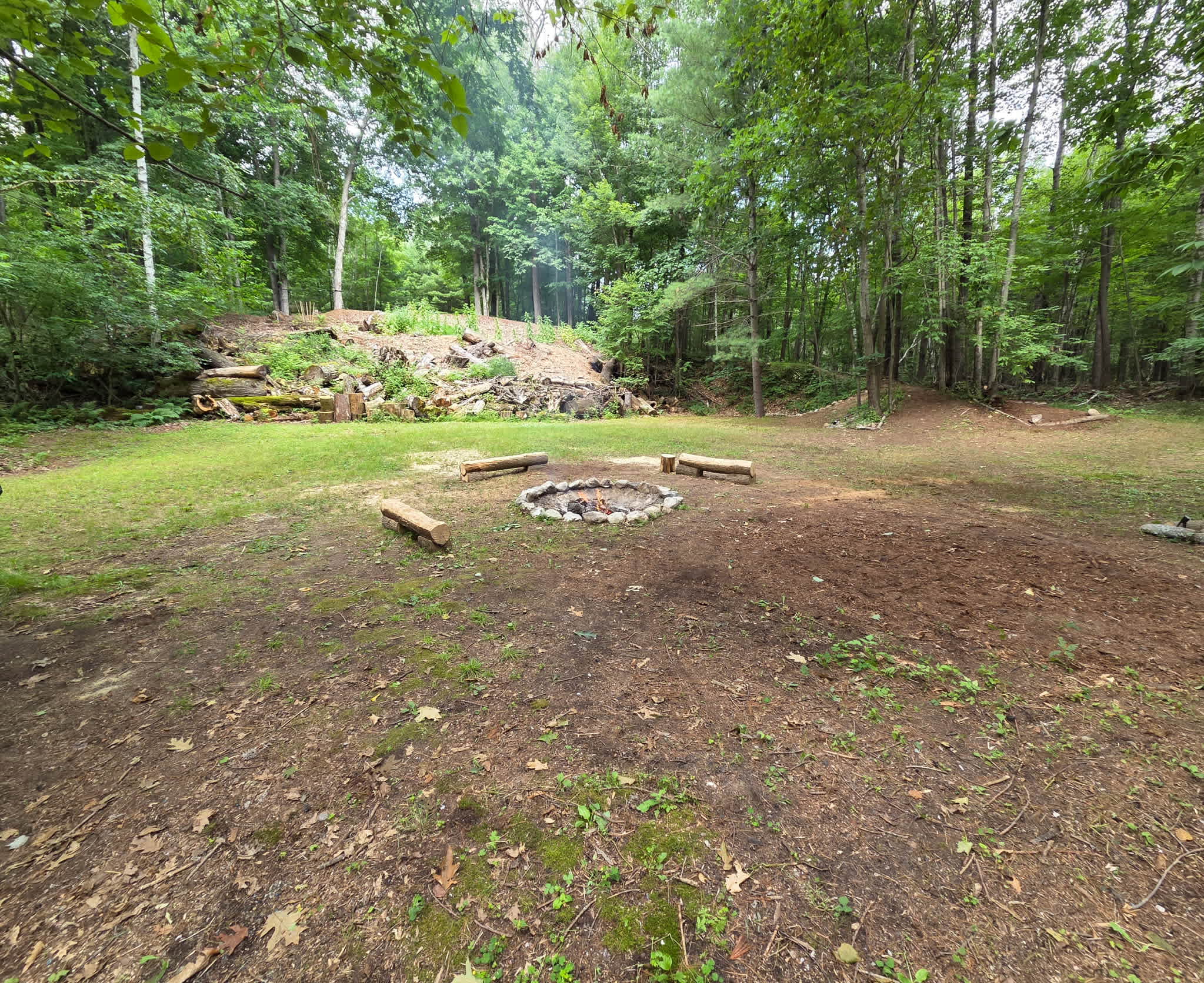Picture of the site