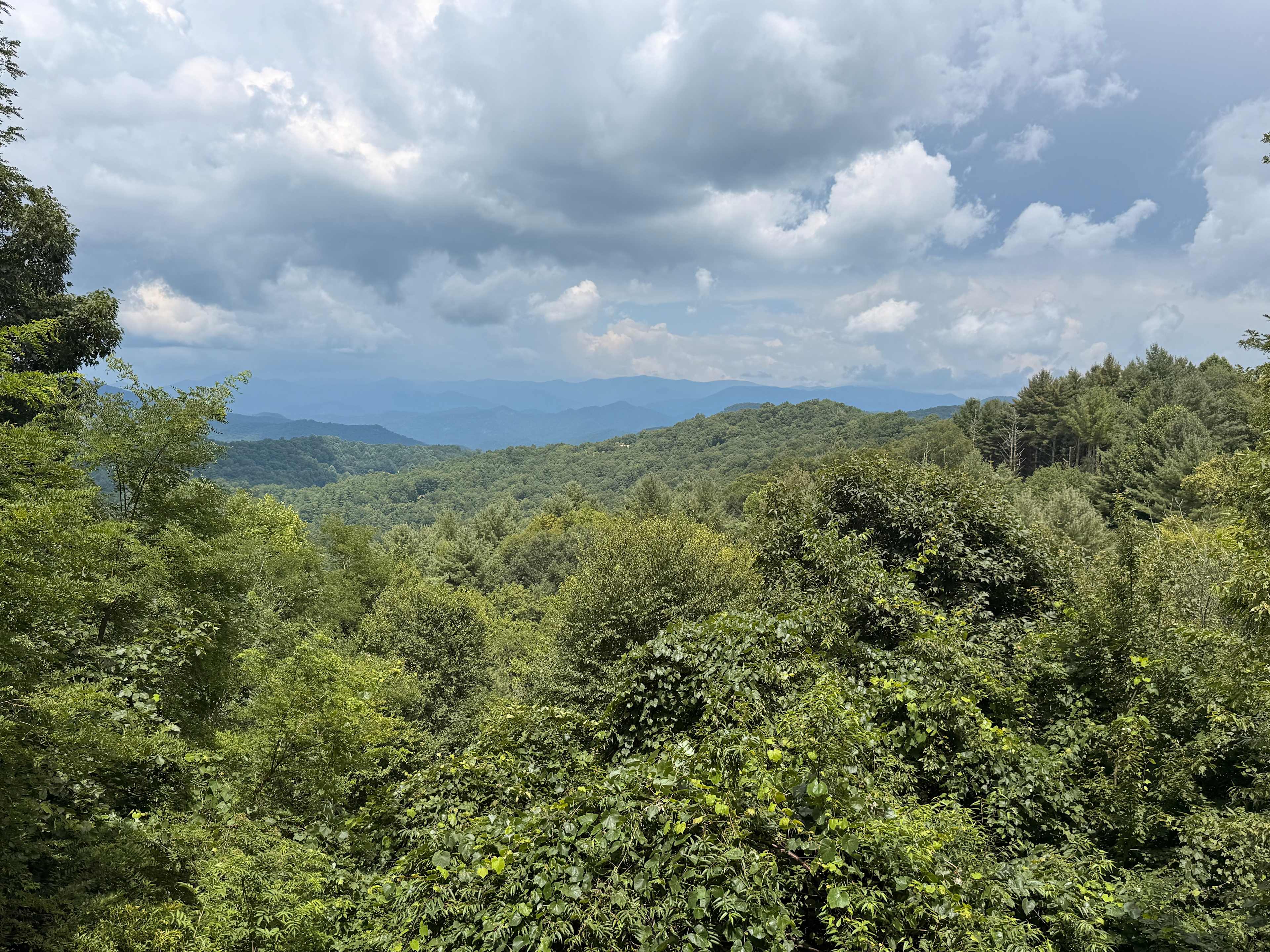 Mountaintop Fantasy Treehouse +