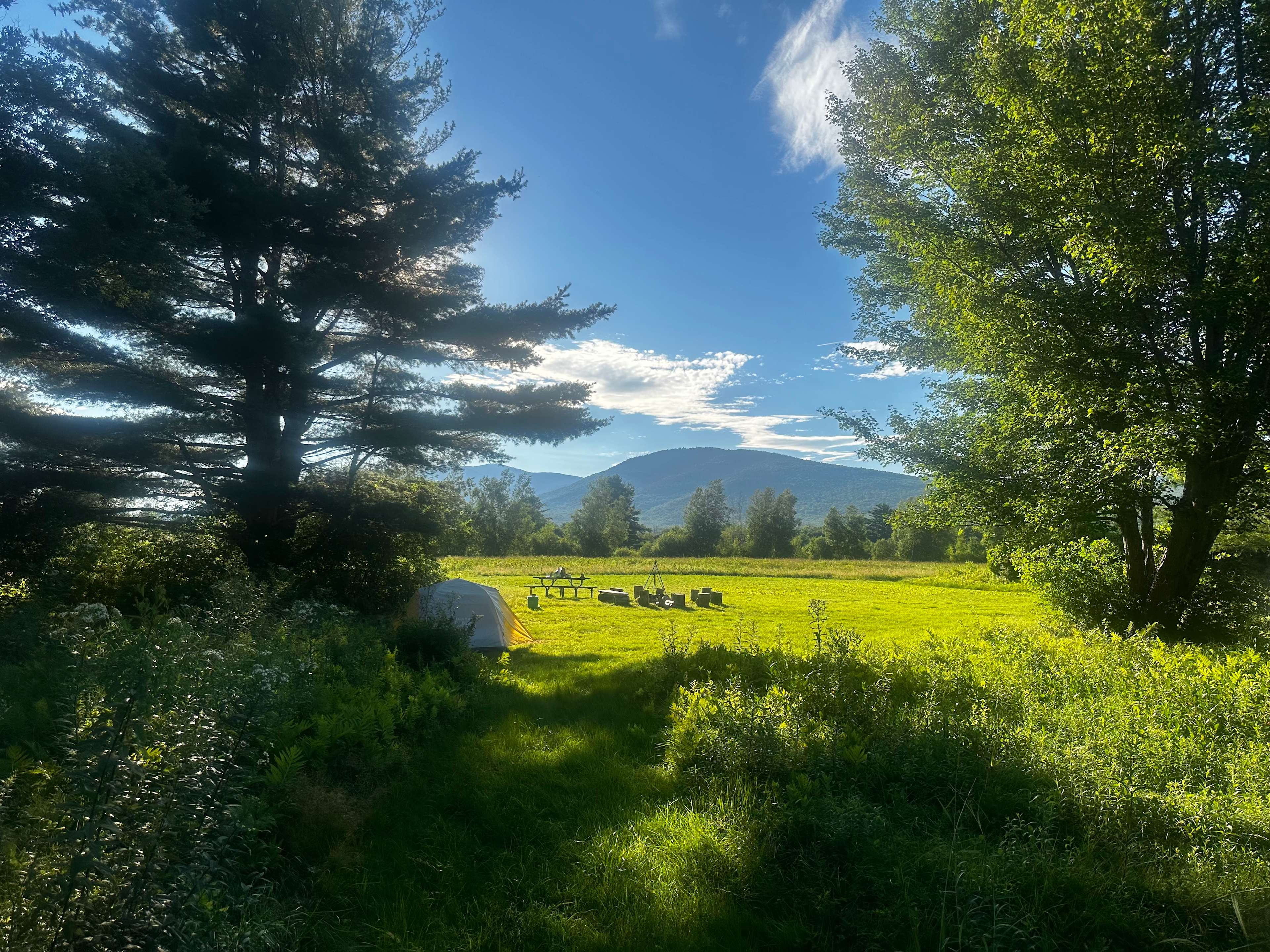 Sacred Nectar Sanctuary