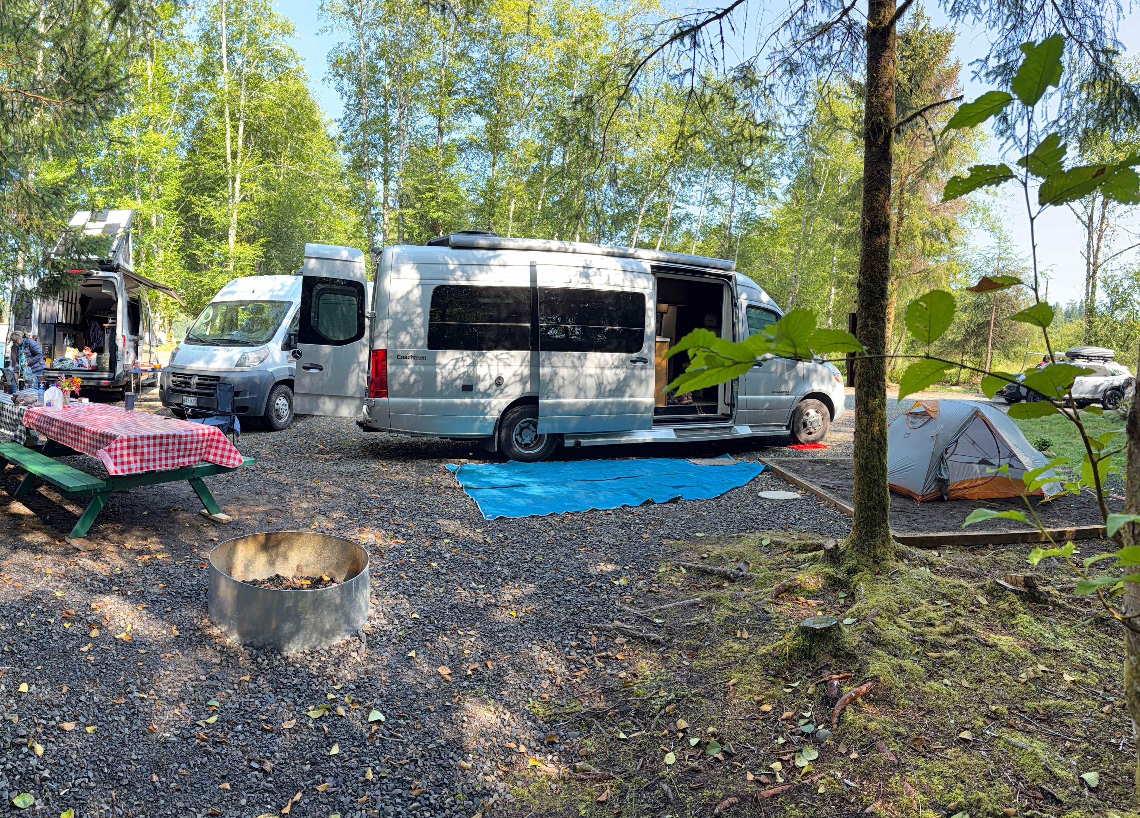 Picture of the site