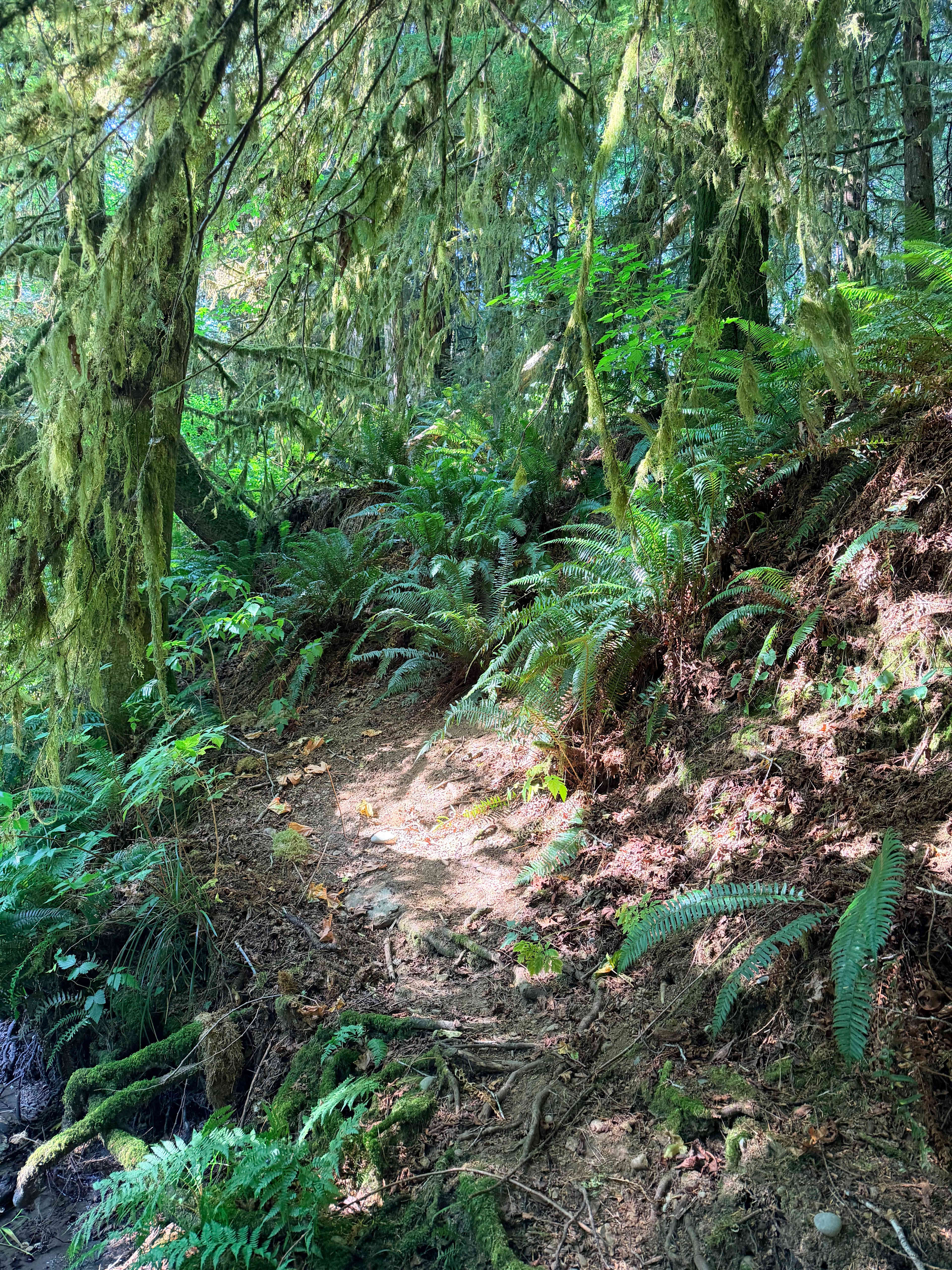 Bottom of the river trail. 