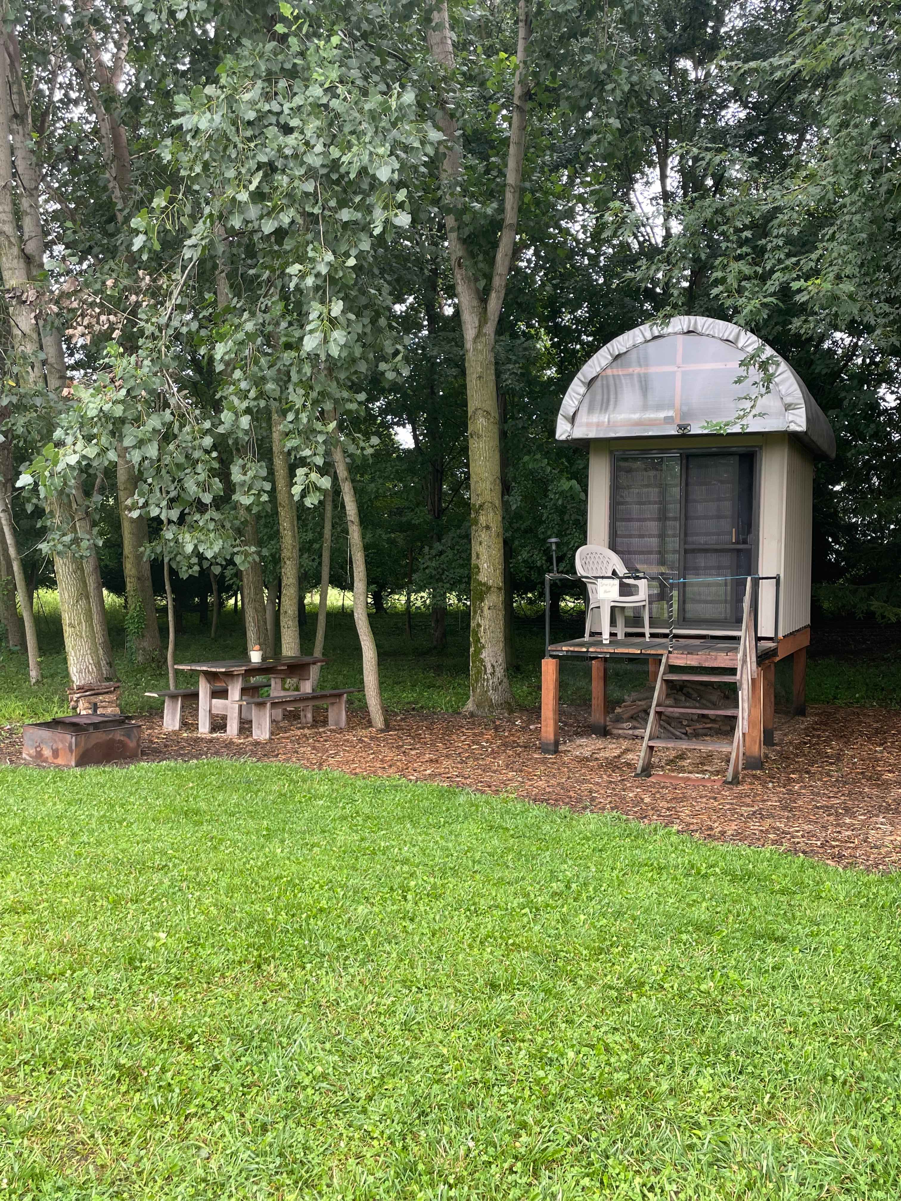 Sheepy Acres