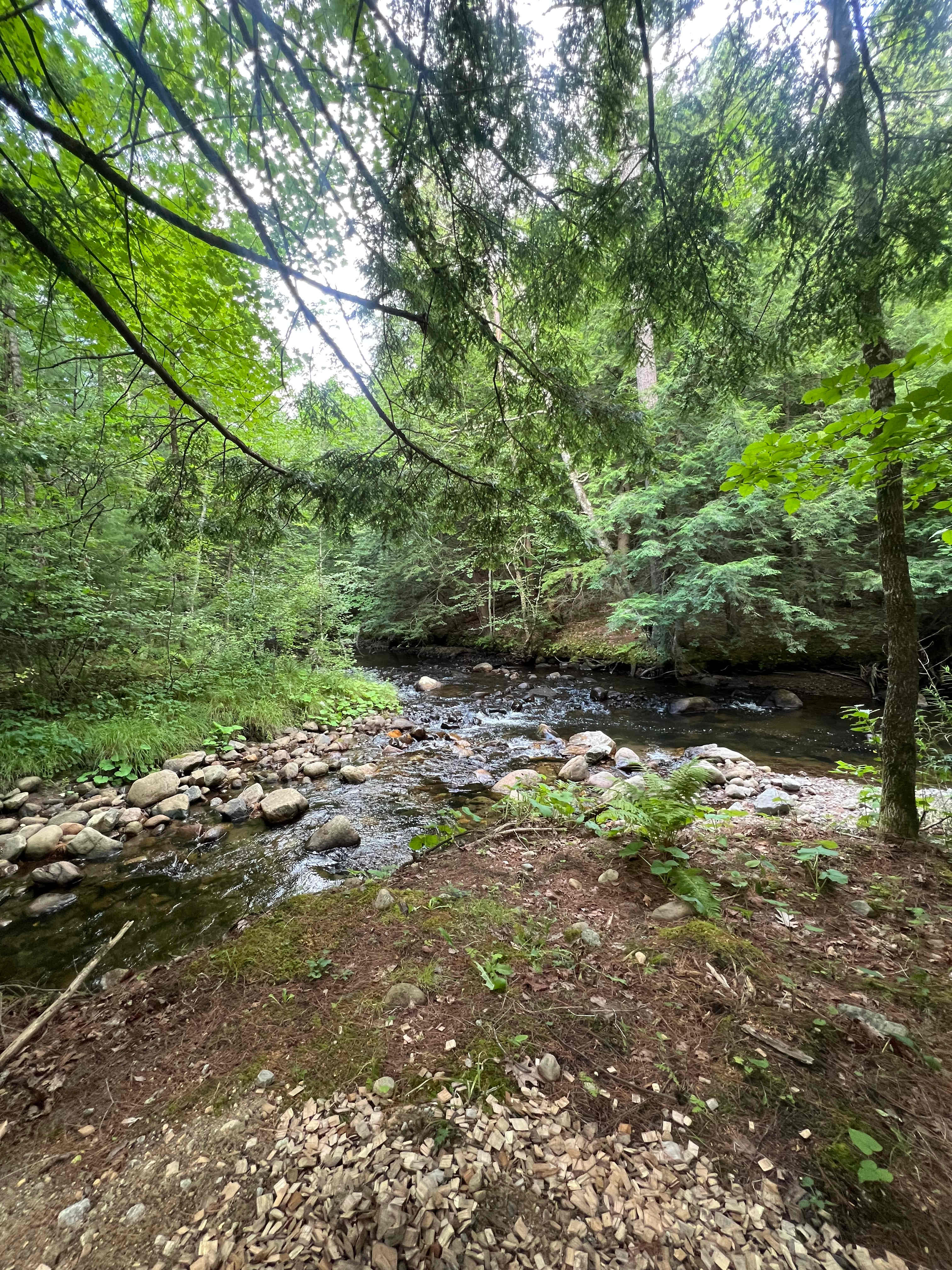 Brookview Cabin