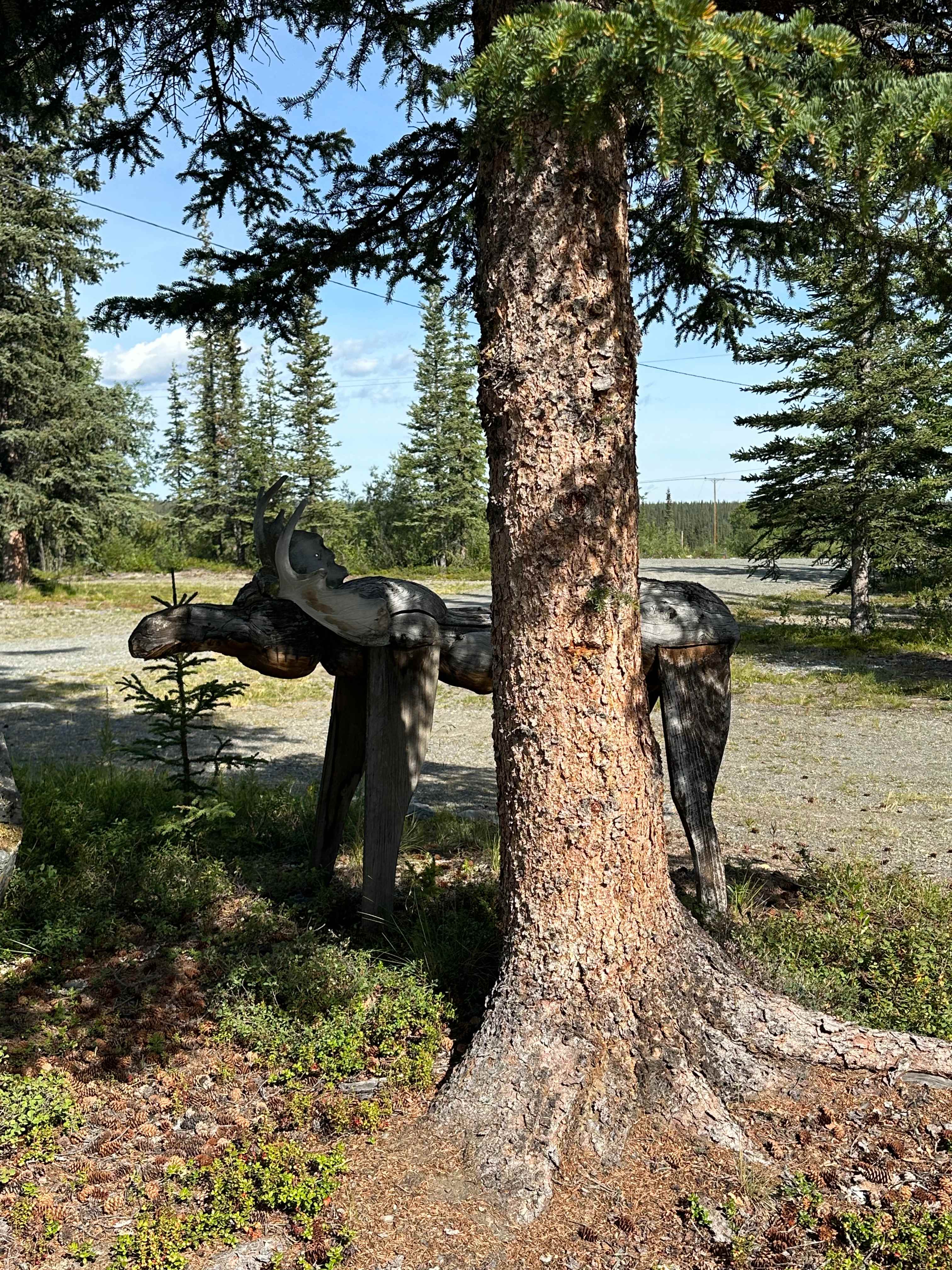 Stump Creek B&B