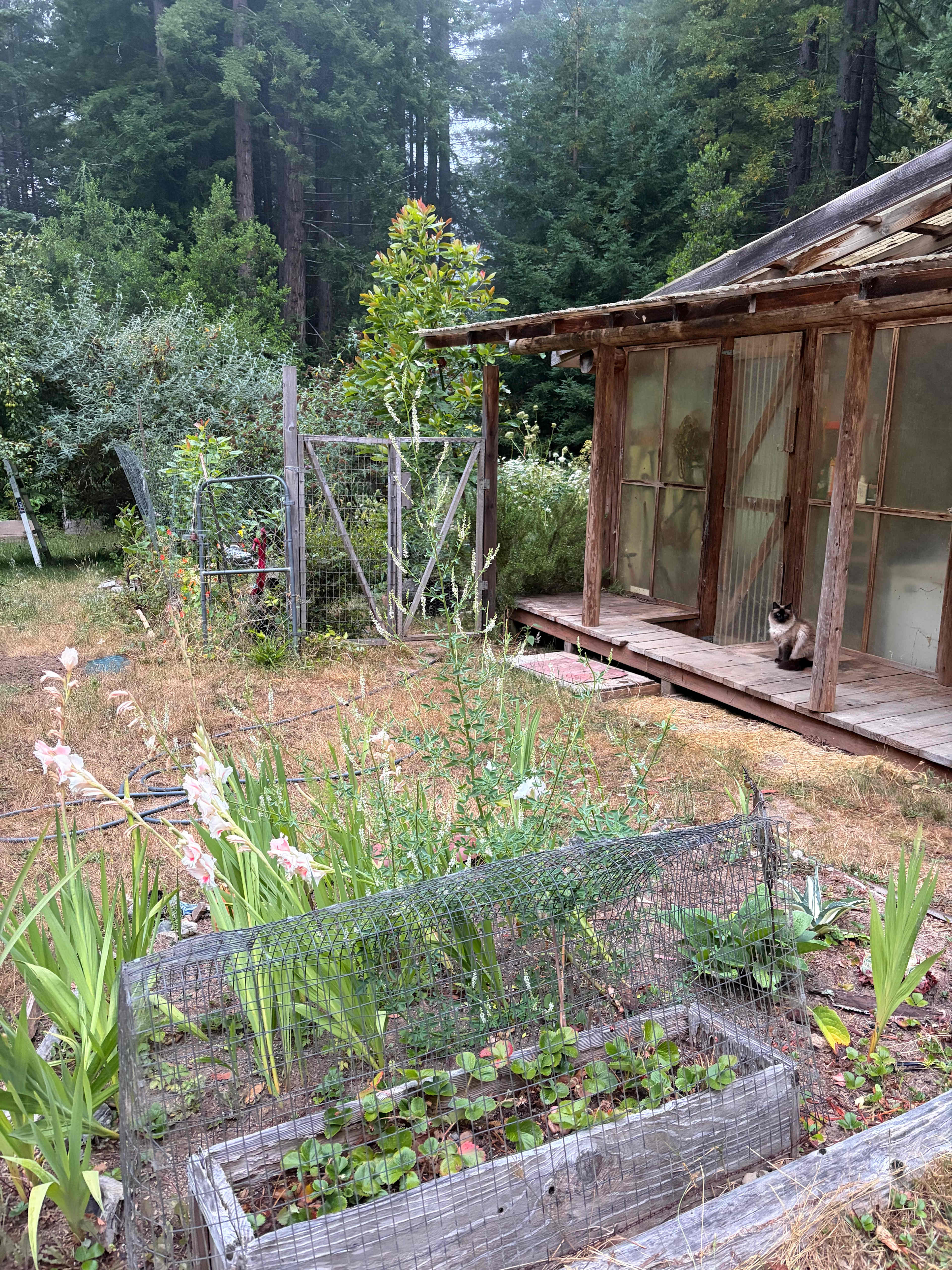Baby Banana Slug Farm