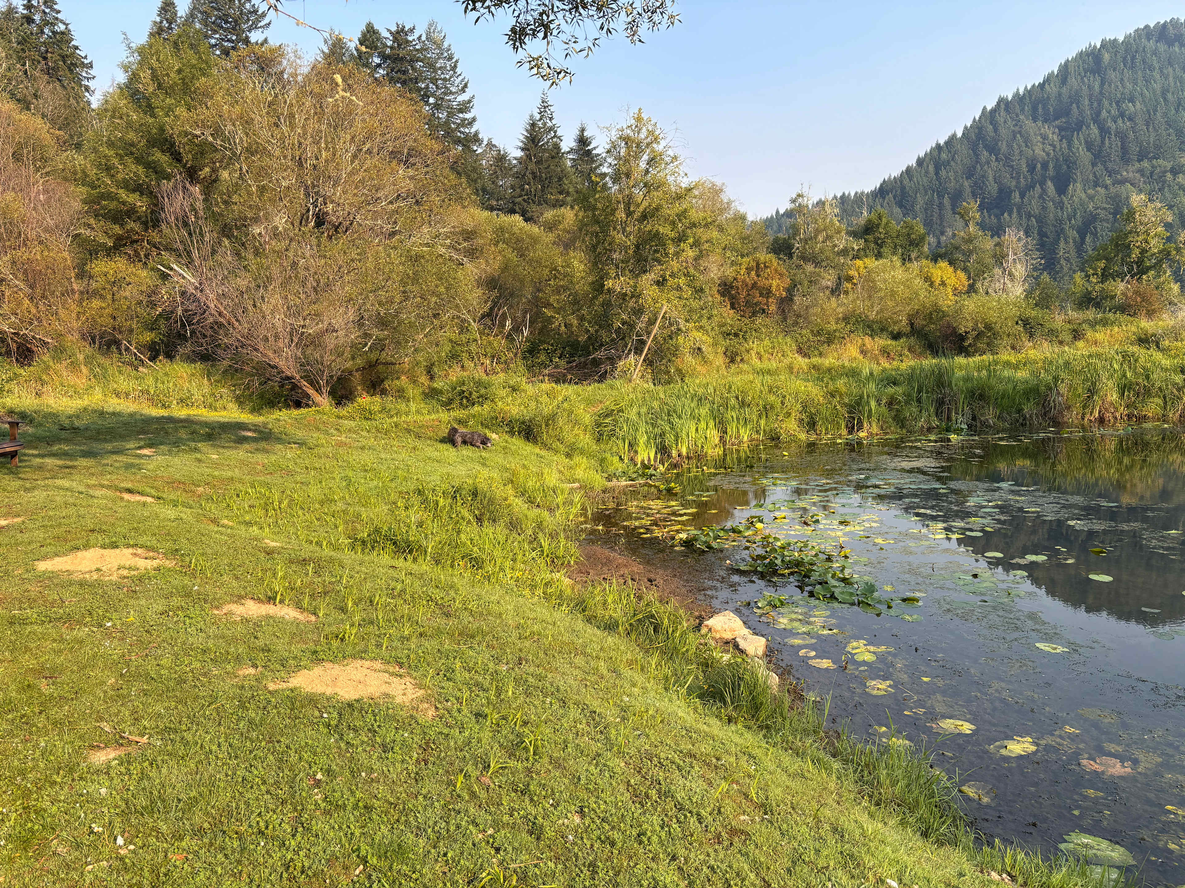 The Park at Loon Lake