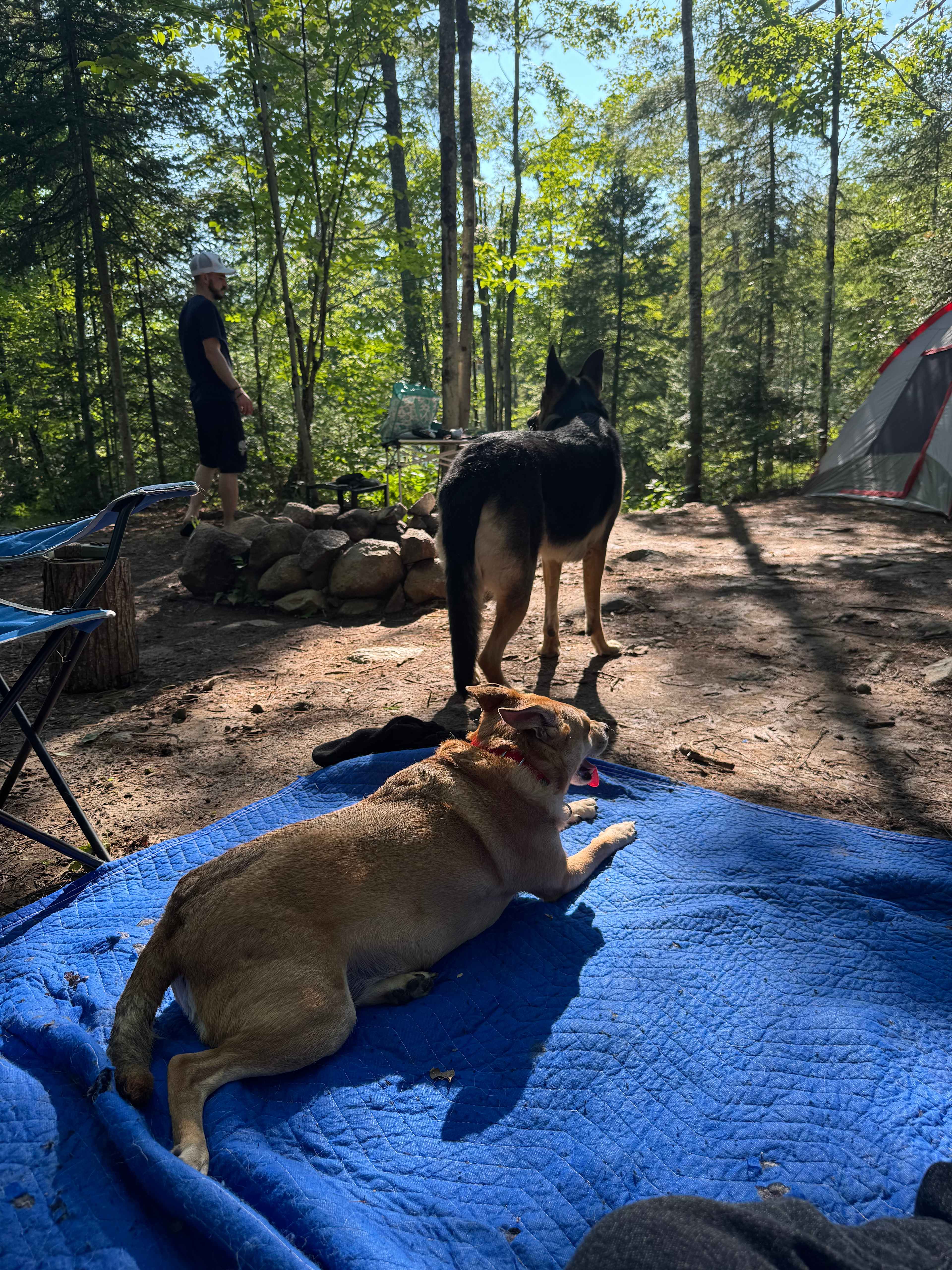 Hemlock Point Campground