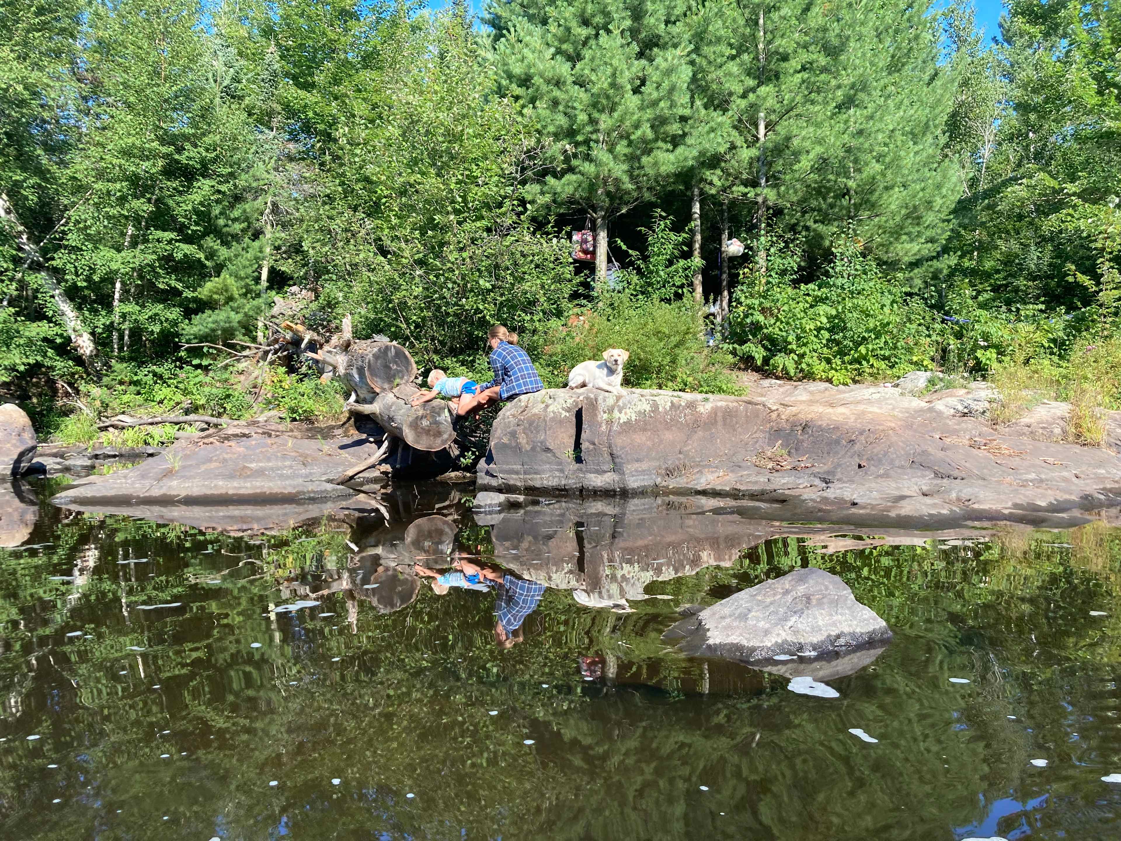 Dog loved it!