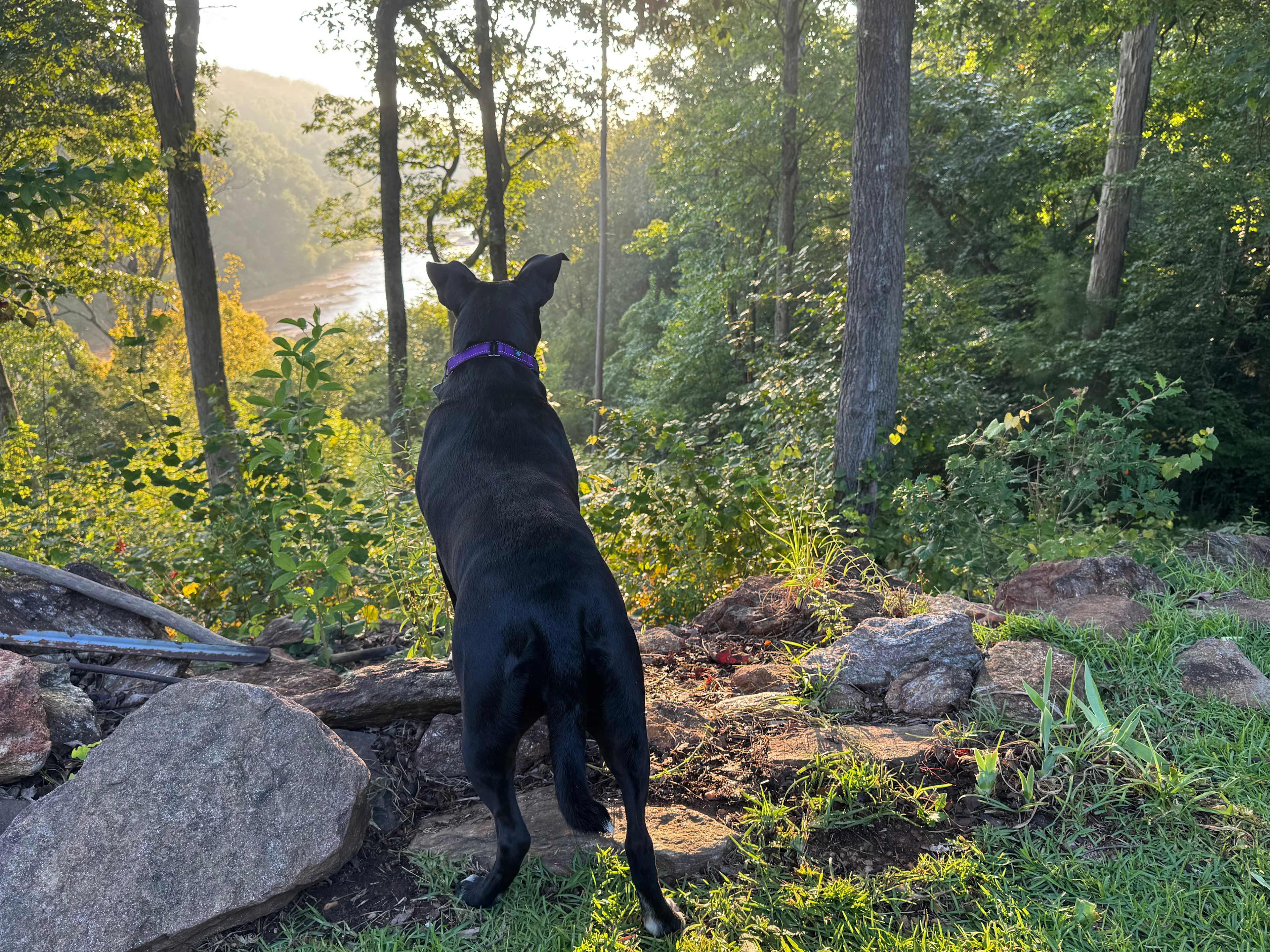 Broad River Retreat