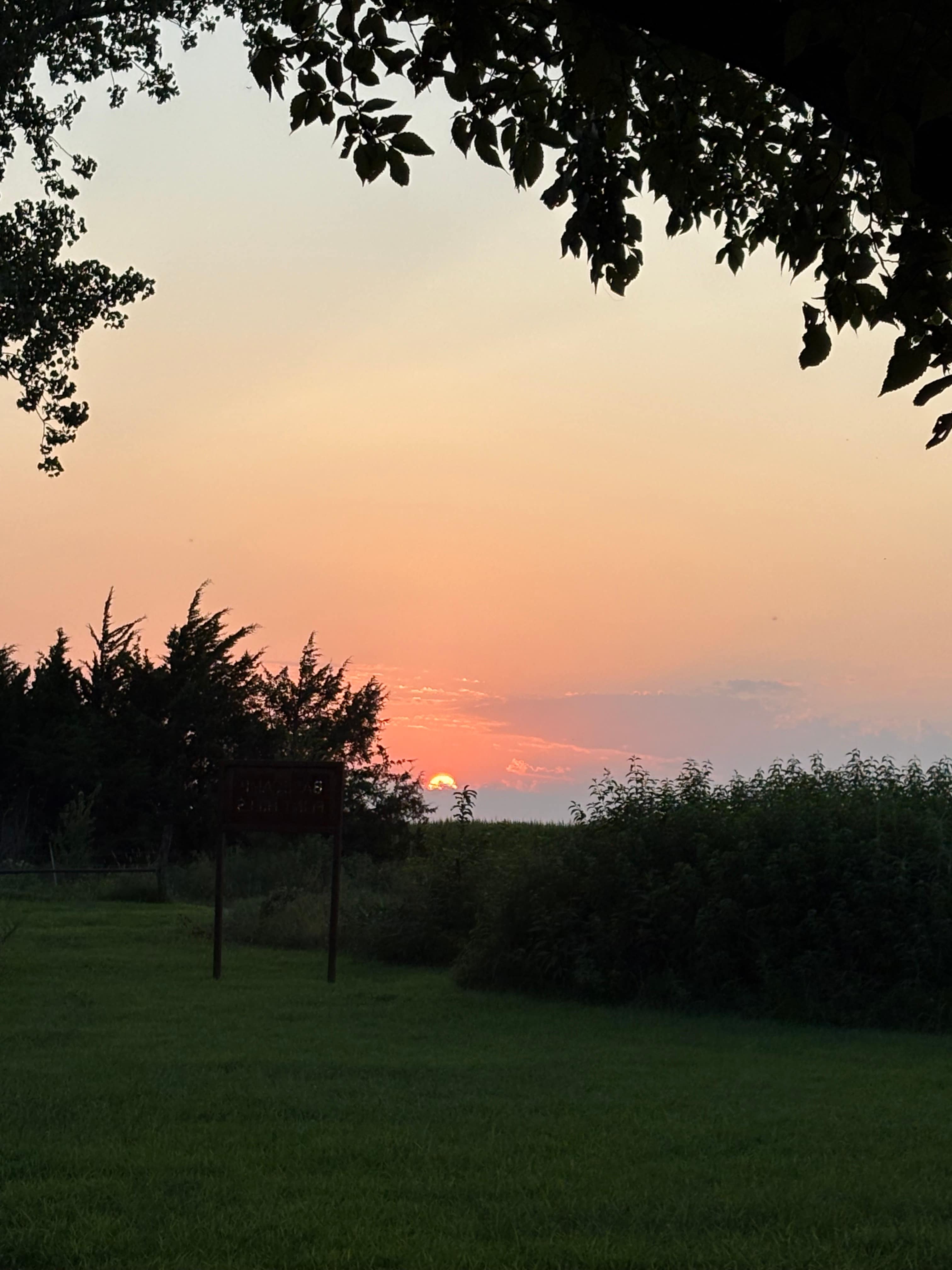 Sunset