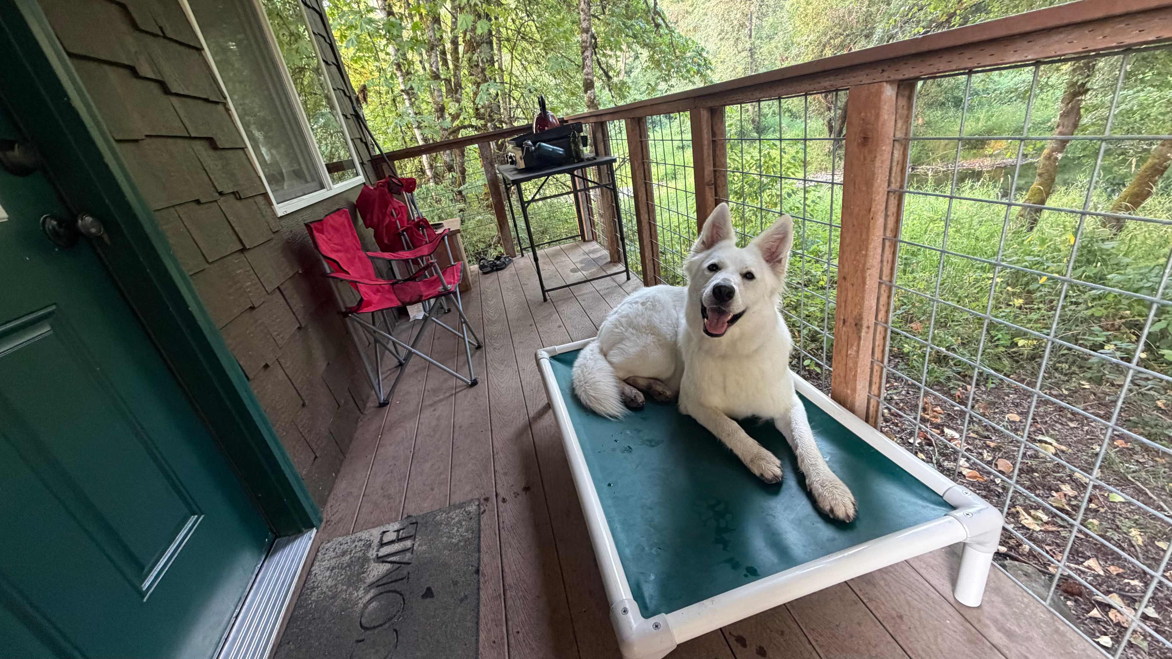 Xena on the deck. 