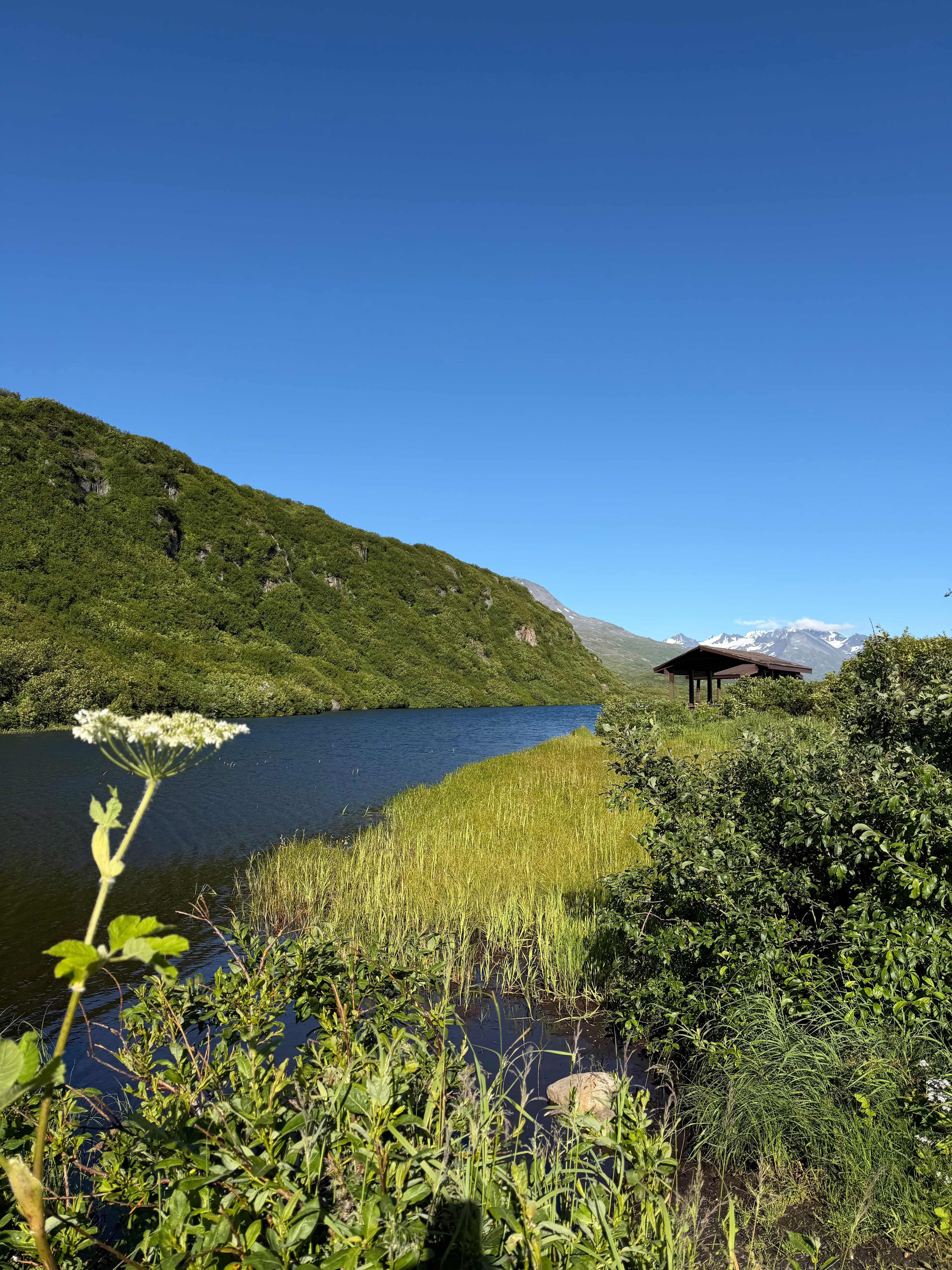 View from site 7