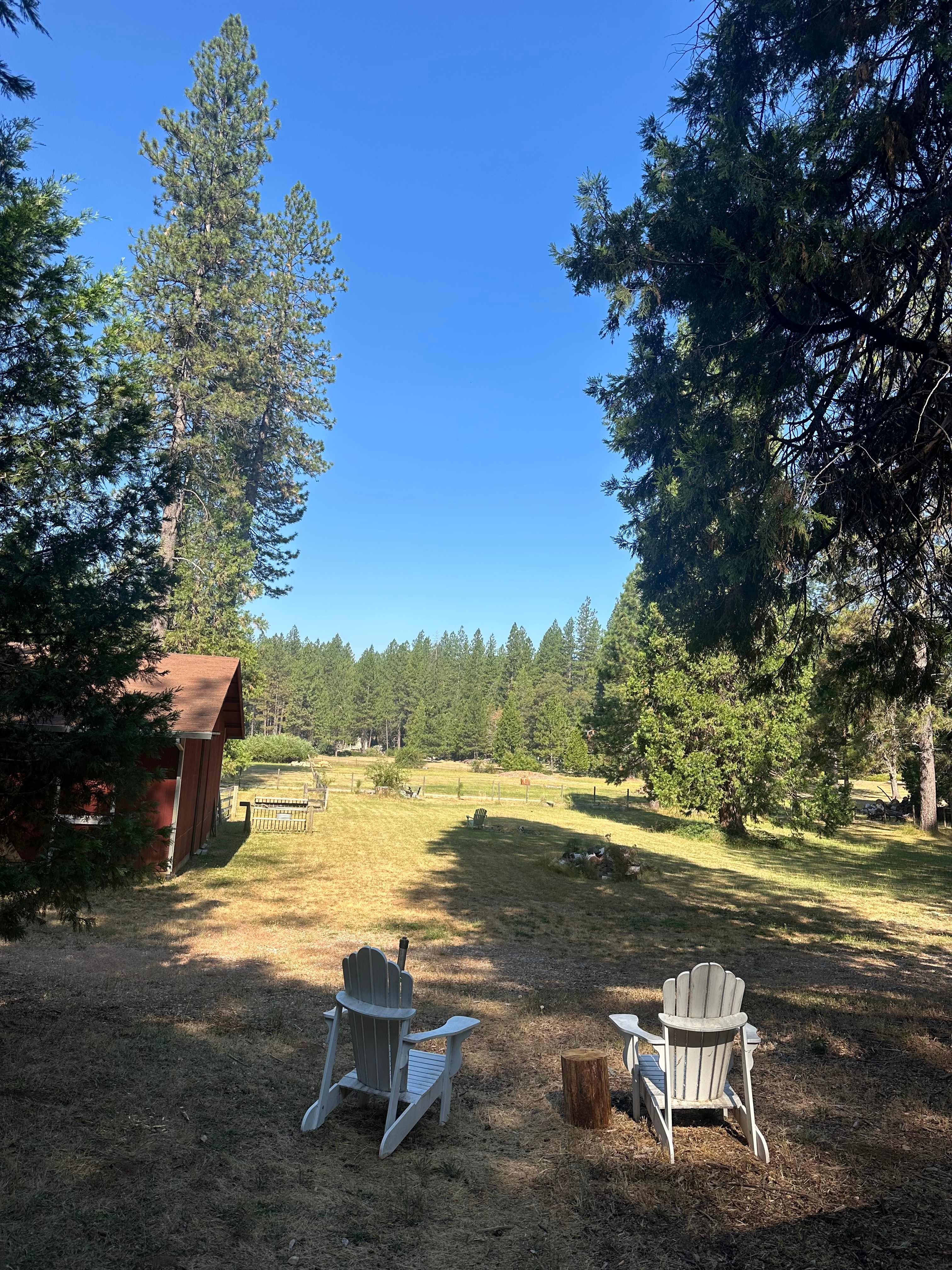 Cozy Luxury Yurt @ Lazy Dog Ranch